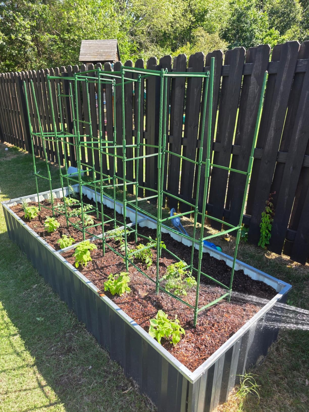 Halatool 8 Pack Tomato Cages for Garden, Up to 48in (4FT) Adjustable Tomato Cage, Garden Stakes Tomatoe Trellis for Pots, Tomatoes Plant Support for Raised Garden Bed & Climbing Vegetables Flowers customer photo 2