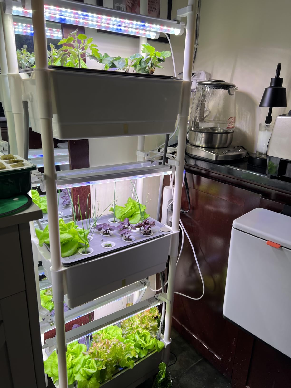 Hydroponics Growing System, AOONEG 28Pods Indoor Herb Garden with LED Grow Light, Hydroponics Growing System Kit with Automatic Timer, Pump System, Adjustable Height (2Layer-28Pods) customer photo 2