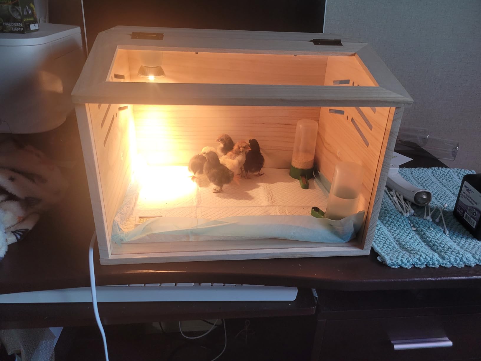 Chicken Brooder Box for Chicks & Quail with 3 Absorbent Pads, Feeder and Waterer - Adjustable Temperature Control Brooding Box for Small Chicken Coop & Quail Cage (15.7x12x12 Inches) customer photo 1