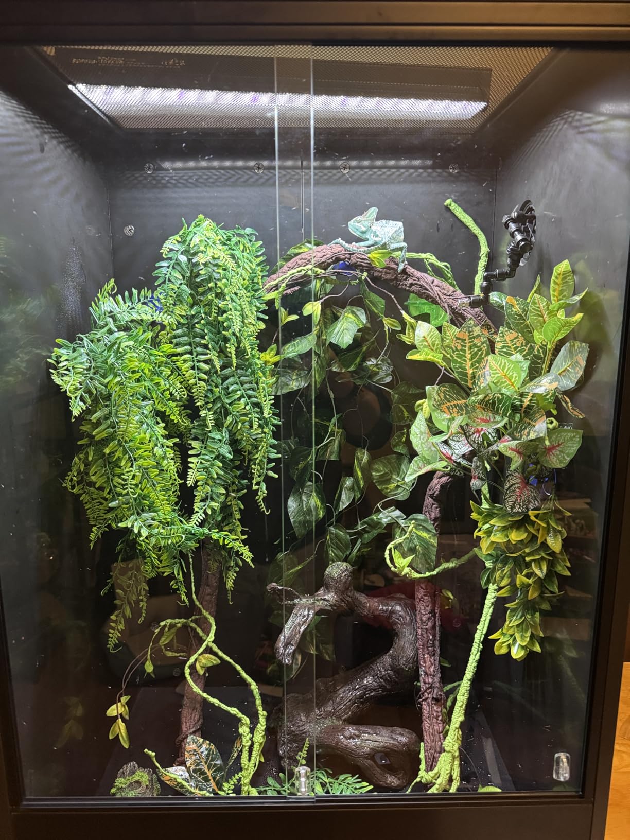 30 Gallon PVC Tall Reptile Tank, 18x18x24 Reptile Terrarium for Frog Lizard Gecko Chameleon Snake, Tropical Rainforest Habitat Enclosure customer photo 1