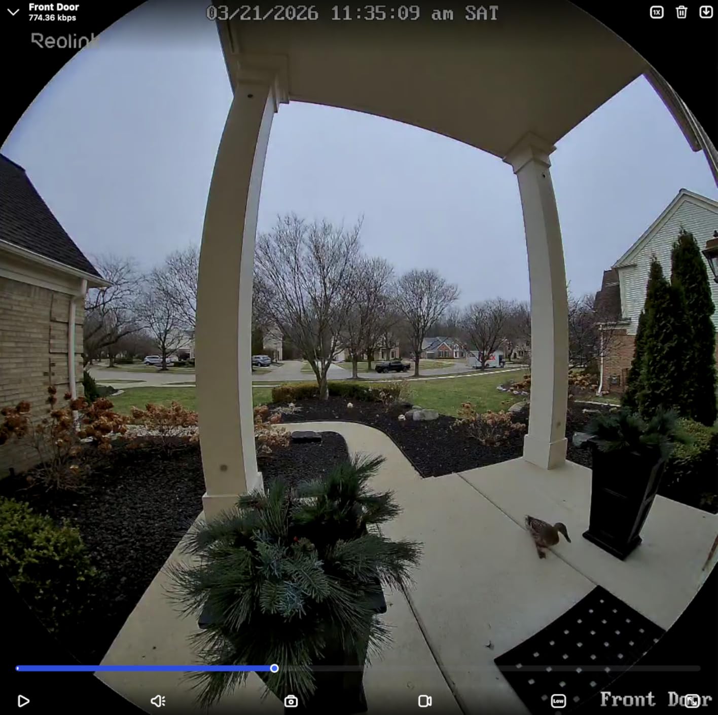 REOLINK 2K Battery Video Doorbell Camera, 150 degree x 150 degree Head-to-Toe View, 2.4/5 GHz WiFi, Local Storage, No Monthly Fee, Two-Way Talk, Person/Vehicle/Package Detection(Chime not Included) customer photo 2
