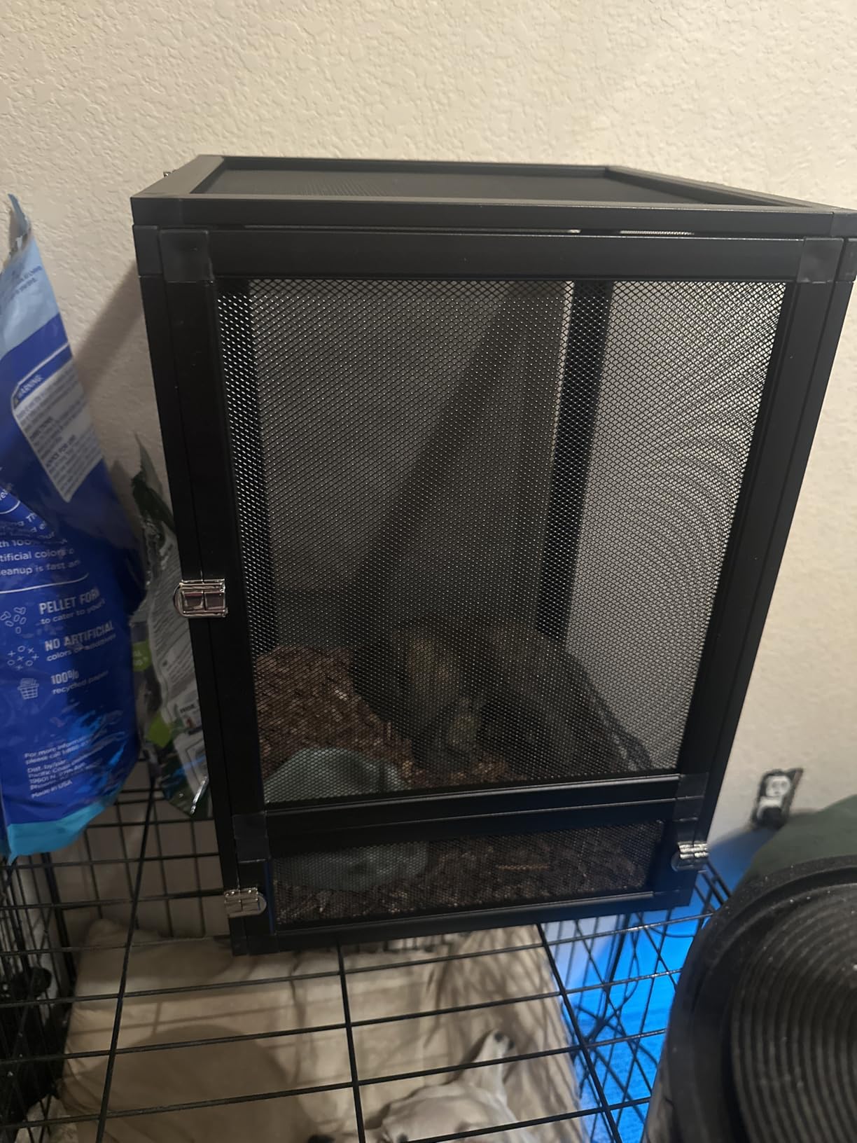 RunDuck 13 Gallon 360° Panoramic Foldable Reptile Terrarium Kit: Crested Gecko Tank and Reptile Cage for Superior Ventilation, Easy Feeding, Sturdiness, and Simple Assembly customer photo 1