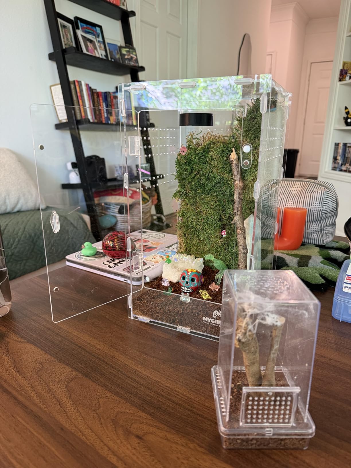 Acrylic Jumping Spider Enclosure - Insect Terrarium for Spiders, Mantises, Tarantulas & Frogs customer photo 1