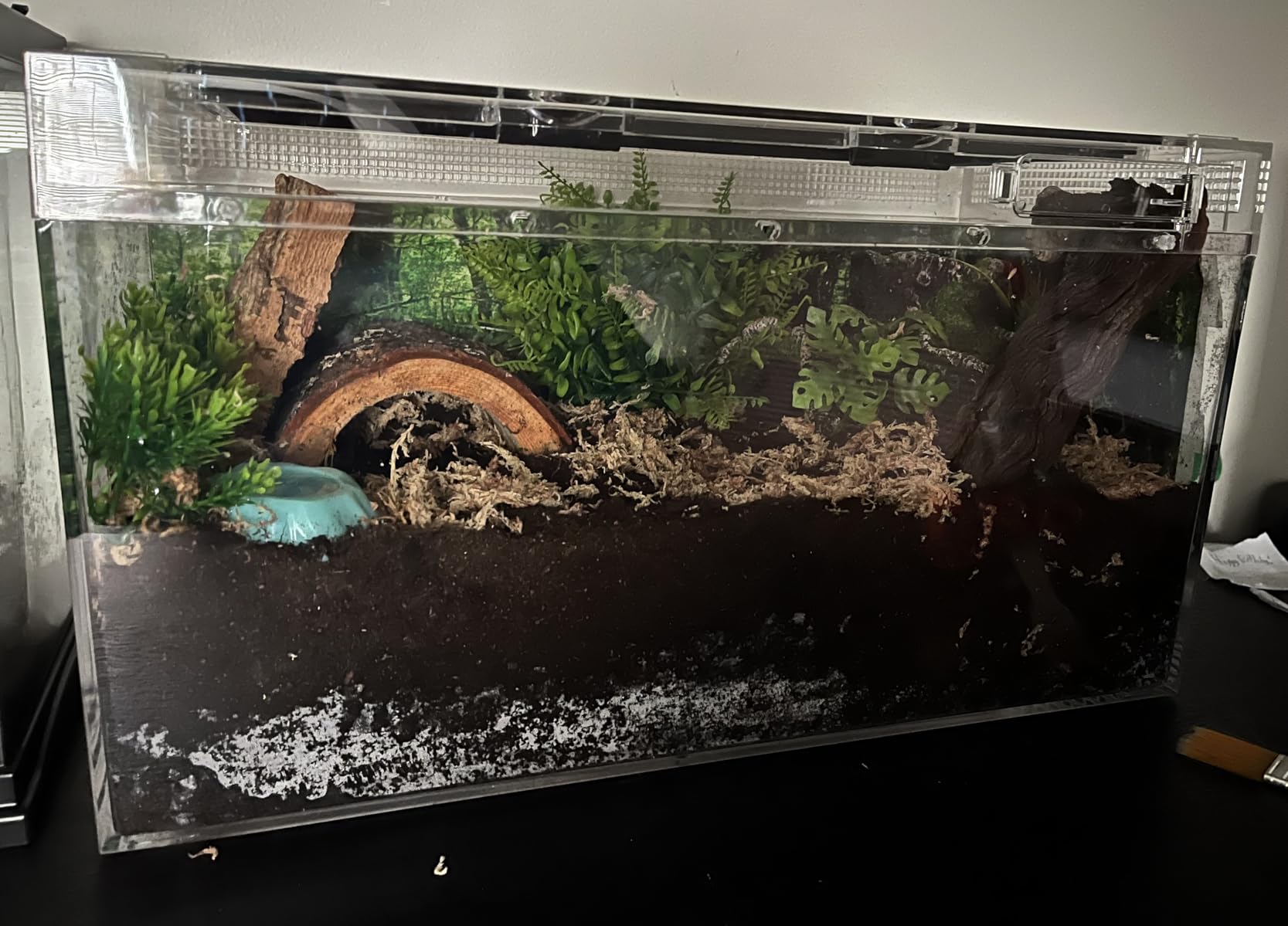 Reptile PC Terrarium Set, Reptile Tank 20
