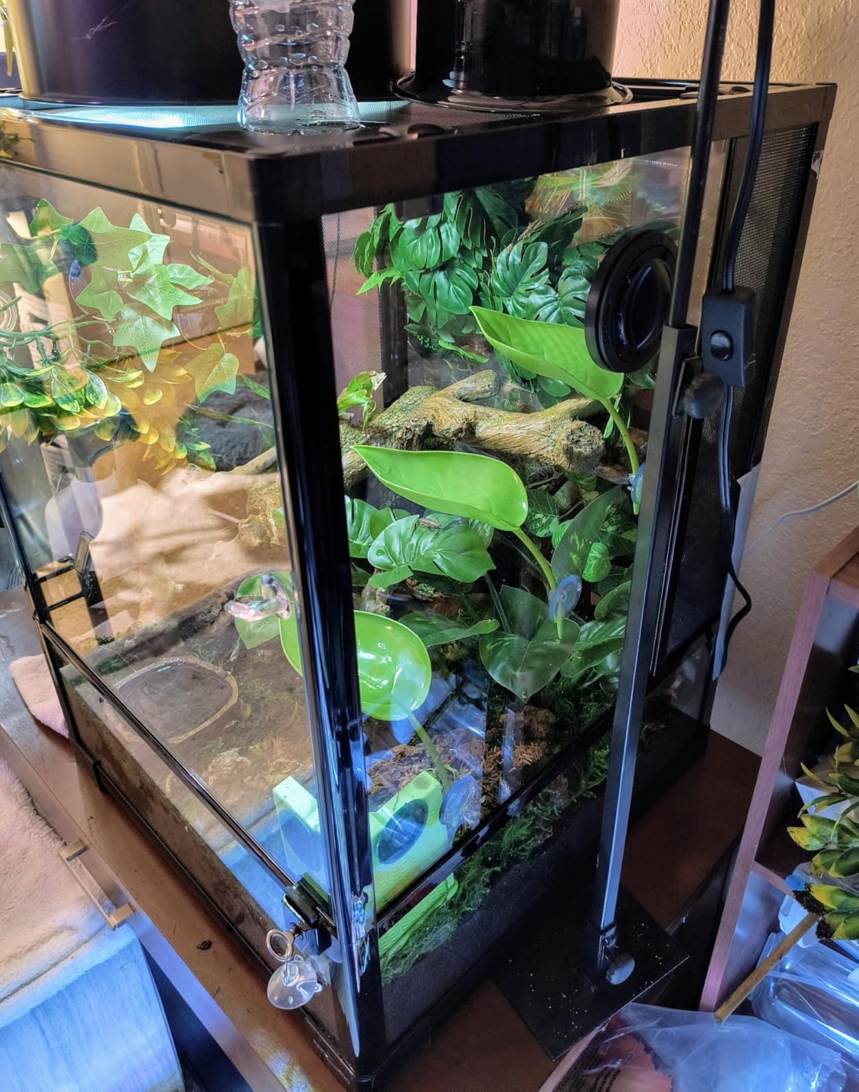 REPTI ZOO 30 Gallon Reptile Glass Terrarium, 18