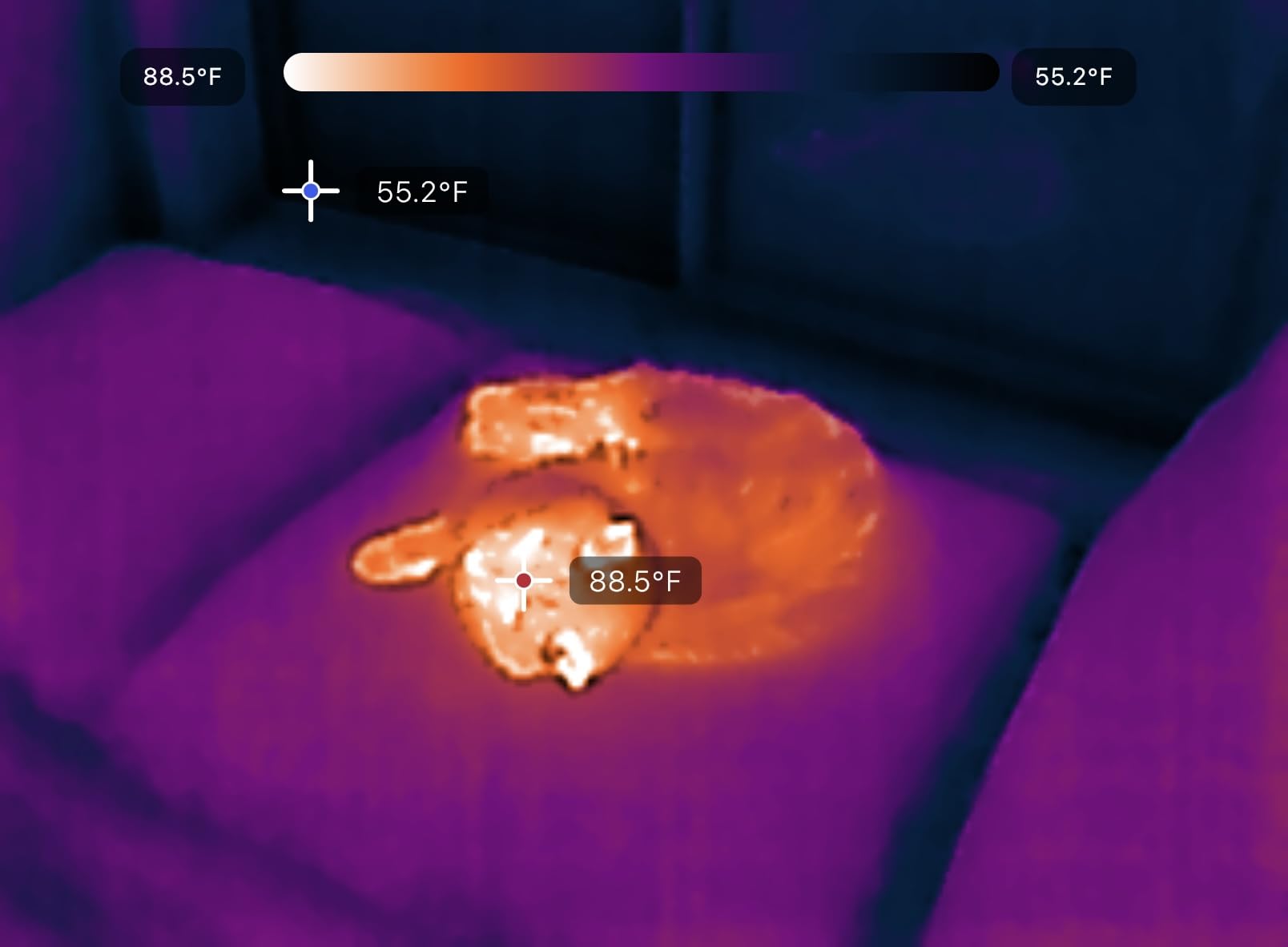 Nano 300 Thermal Camera for Apple iOS with USB-C Connector, iPhone Thermal Camera, High Resolution 320 X 240 Thermal Imager, 25hz Imaging Frame Rate, -4°F~626°F, iPhone 15 & 16 customer photo 2