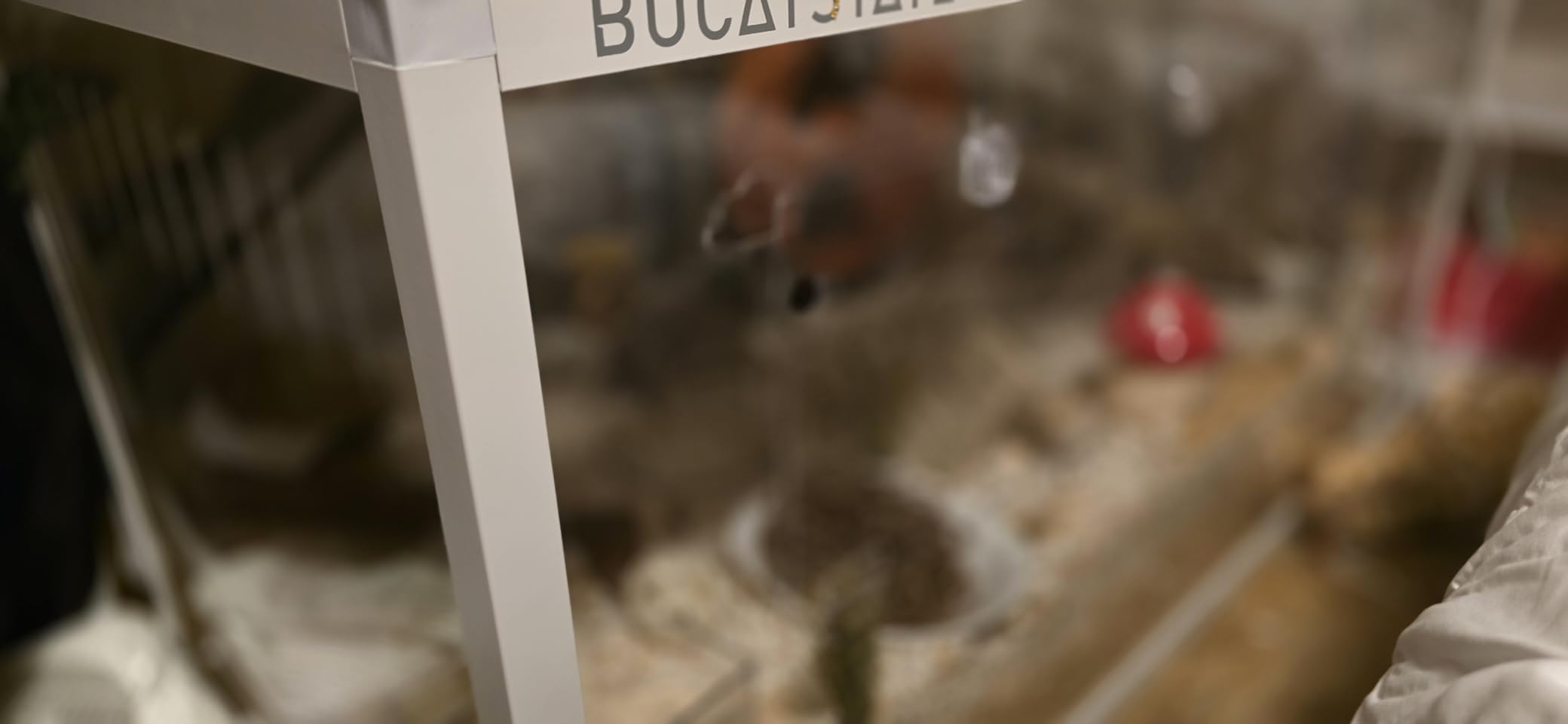 BUCATSTATE Hamster Cage 3.0: Metal Large Rat Cage Stackable with Top Access Easy Assemble 47L x 23.6W x 25.5H Inches Dwarf Syrian Hamster Tank for Gerbil Mouse (7.8 ft², White) customer photo 1
