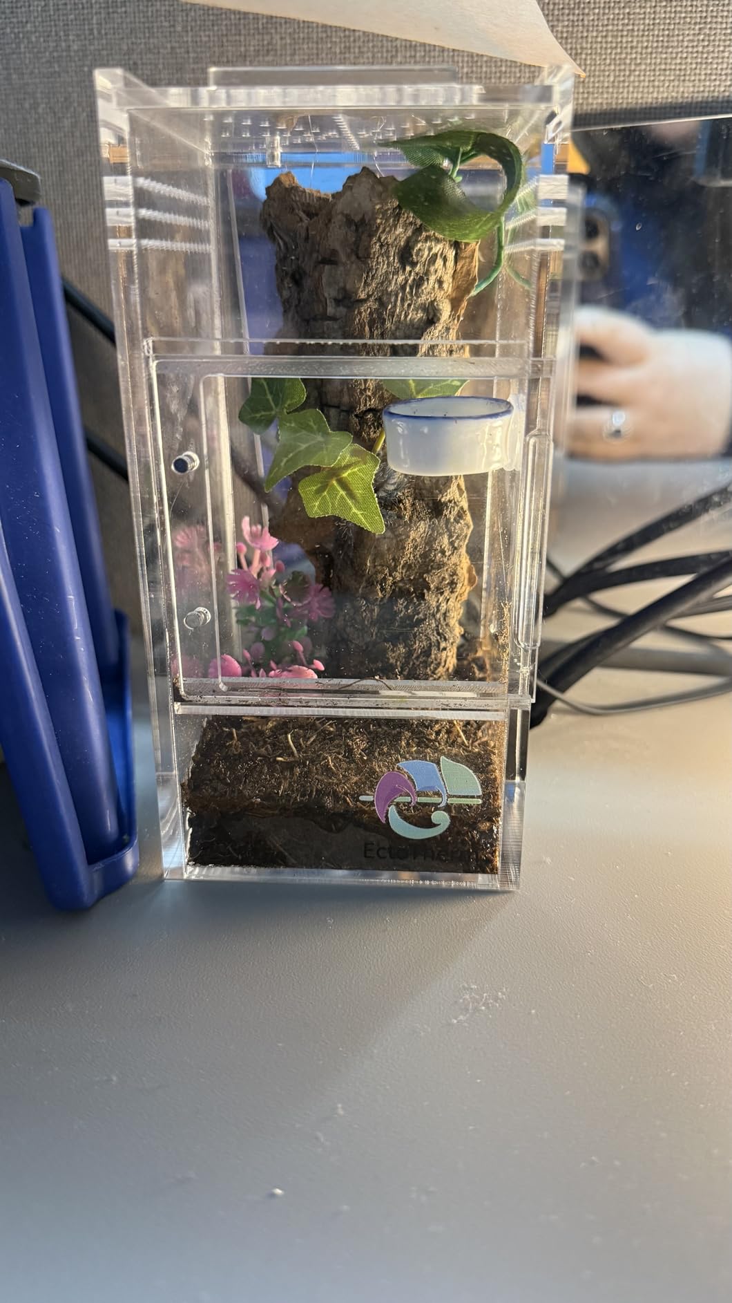 EctoTherm Jumping Spider Enclosure - for Habitat, Terrarium Kit and Arboreal Tarantula Enclosure customer photo 1