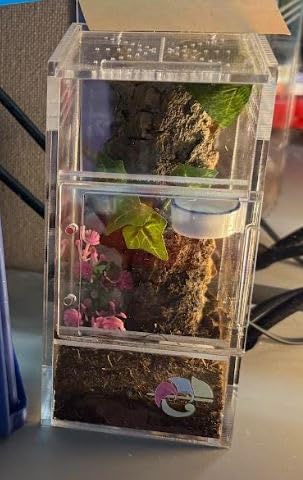 EctoTherm Jumping Spider Enclosure - for Habitat, Terrarium Kit and Arboreal Tarantula Enclosure customer photo 2