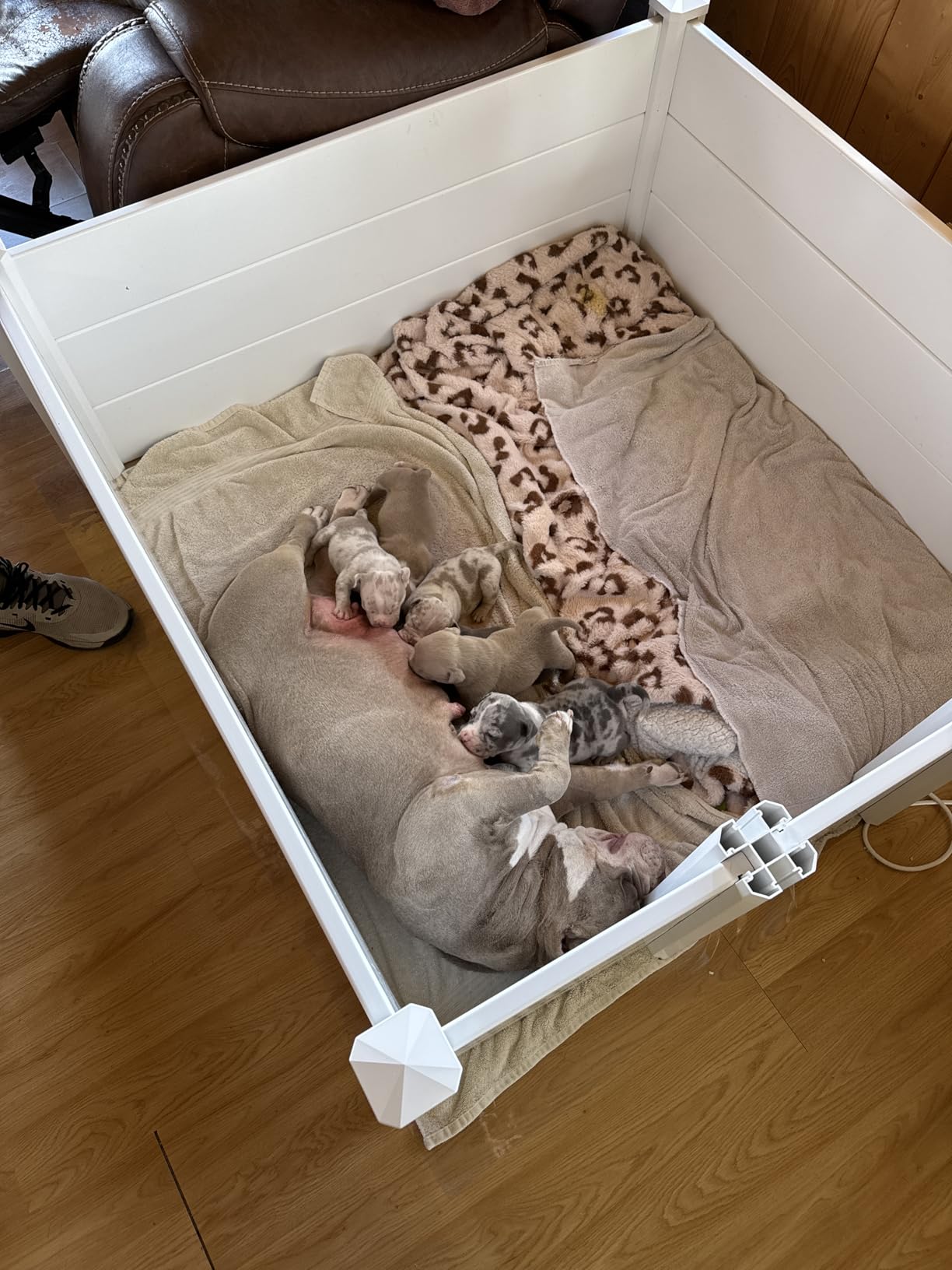 Whelping Box for Large Breed Dogs, PVC Puppy Playpen, Waterproof & Rustproof Whelping Pen, 48x48x18 in, White customer photo 1