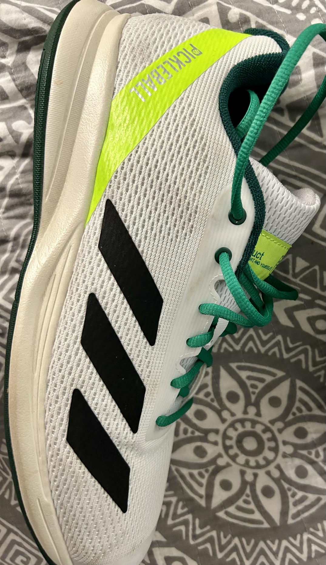 Adidas Men's Courtflash Pickleball customer photo 2
