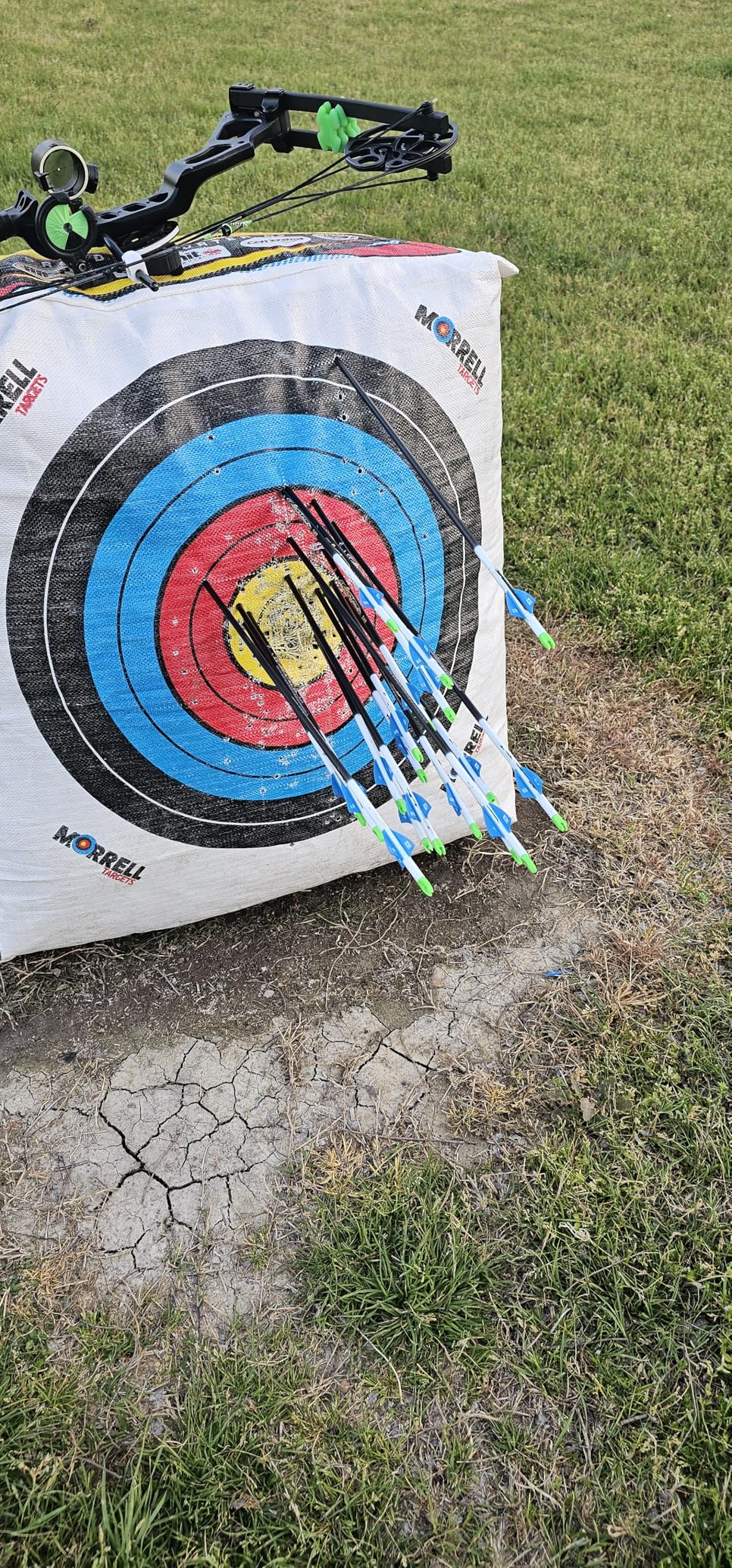 sanlida 100% Pure Carbon Hunting Arrows, Olympic-Grade 10 Spines Deflection (Unique), 0.001