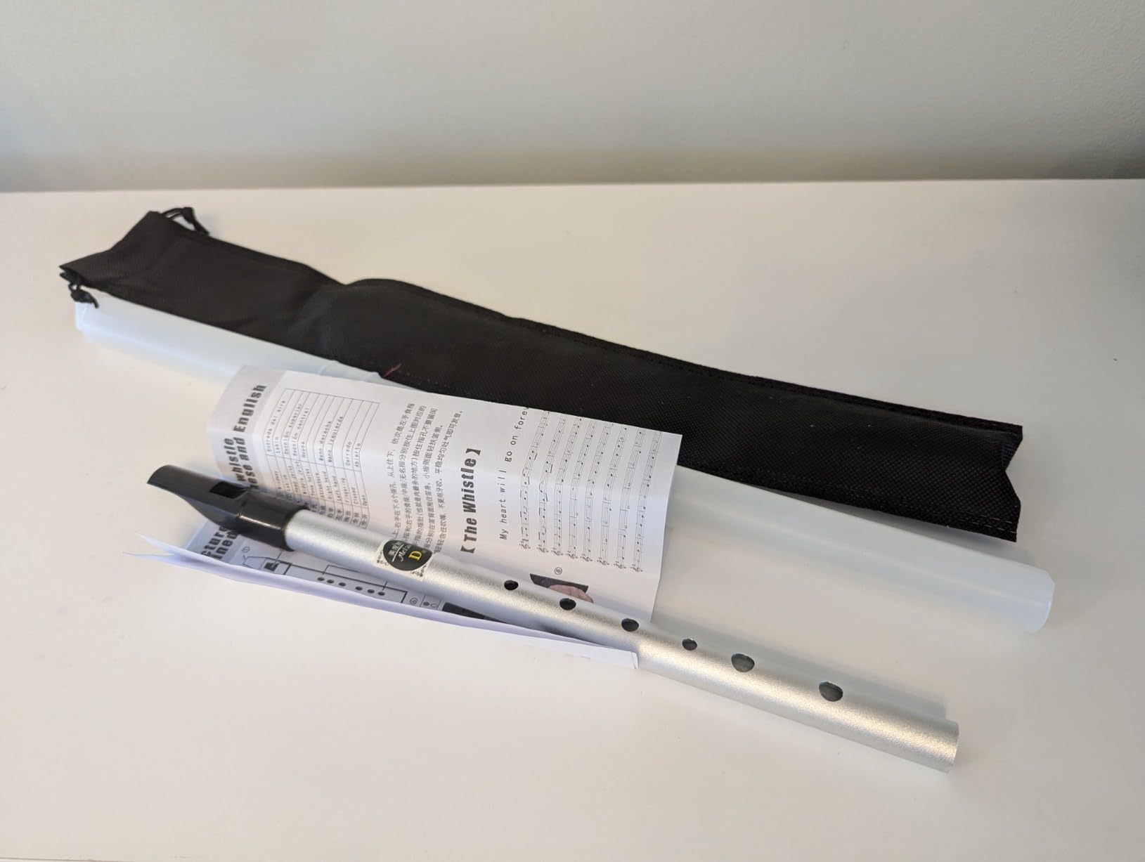 Irish Tin Whistle in C Key with Music Book & Bag, 6-Hole Traditional Penny Whistle Flute for Adults & Beginners, Brass Wind Instrument for Celtic Folk Music (Sliver) customer photo 1