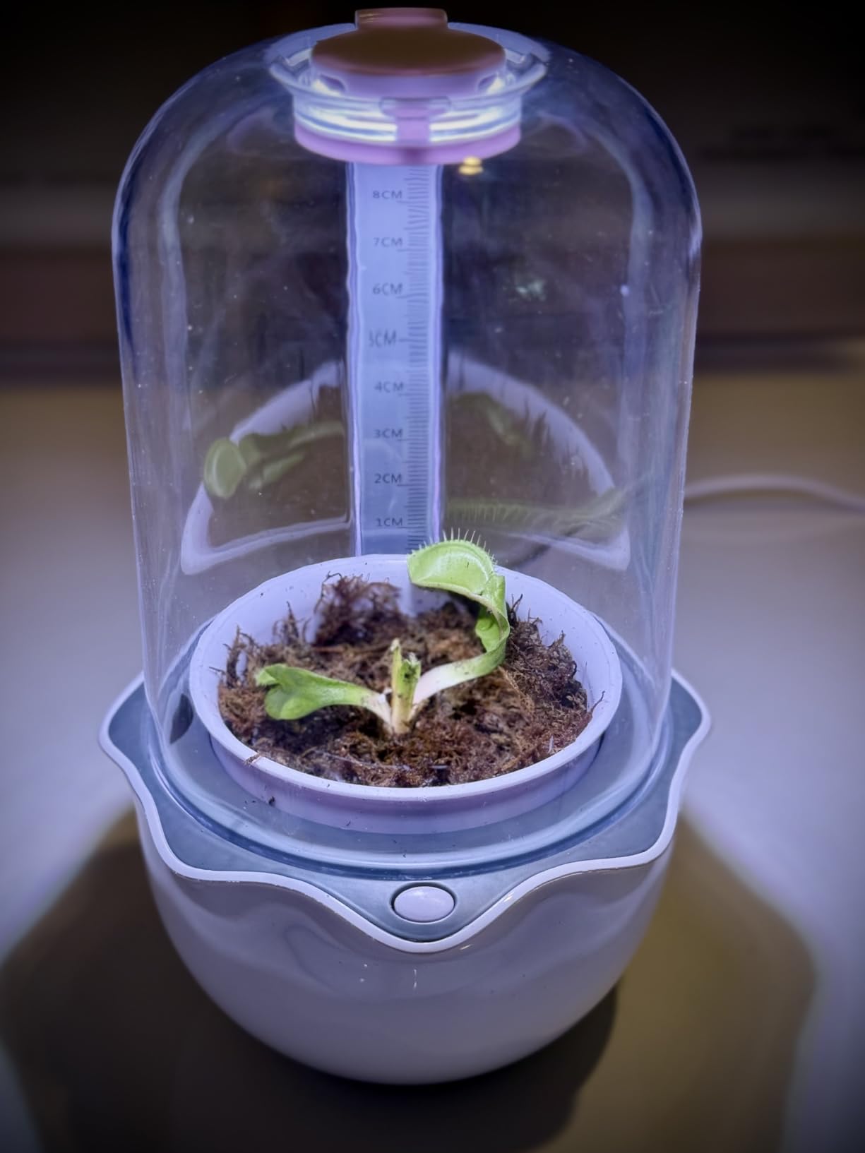 Smart Venus Fly Trap Terrarium Pot with Timer&Fan,Plant Terrarium Kit with Grow Light for Carnivorous,Butterwort, Venus Flytrap,Birthday Gardening for Women Garden Lover-No Plant customer photo 2