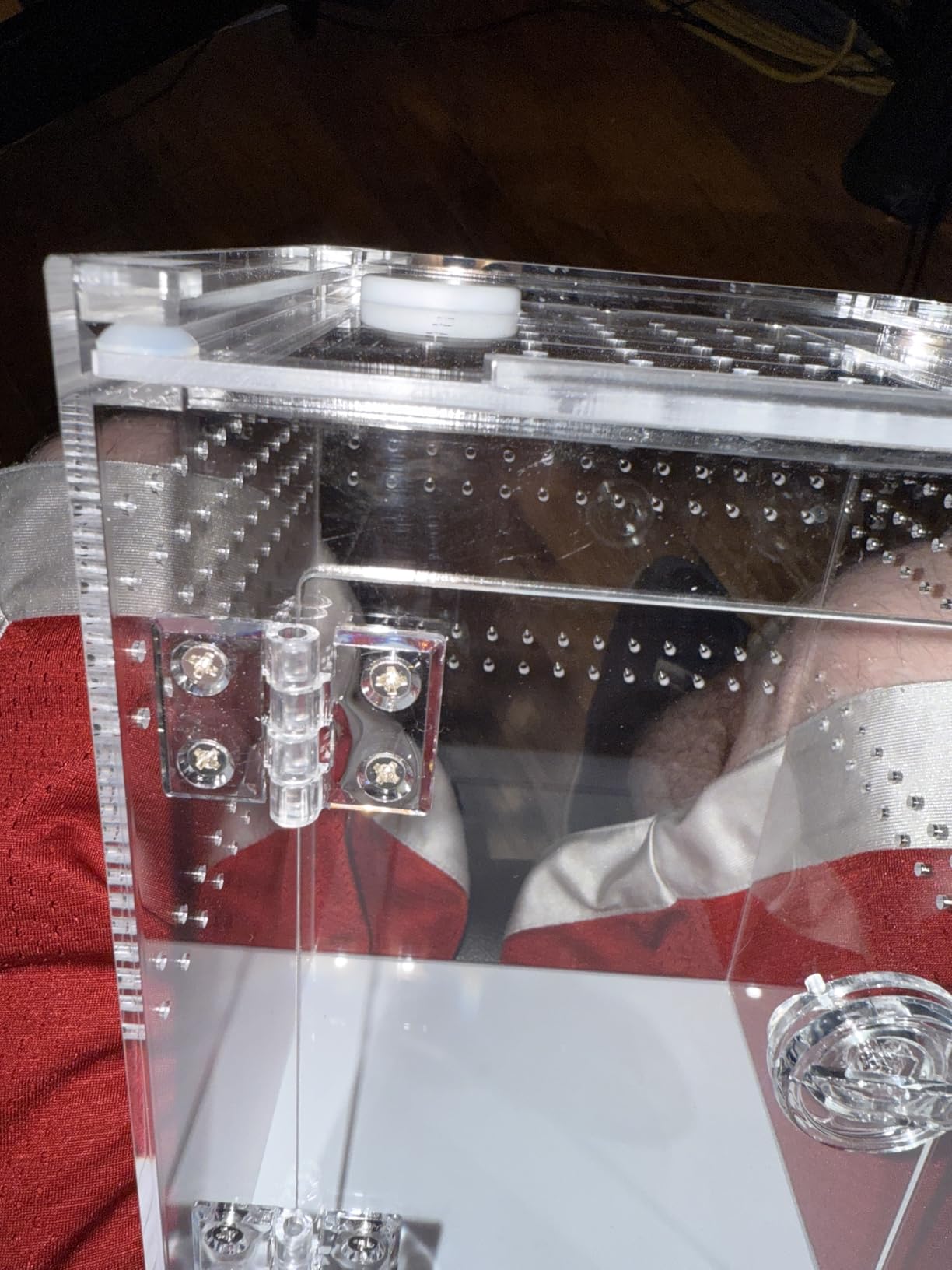 Tall Arboreal Tarantula Enclosure No Assembly Required, Jumping Spider Enclosure, Front Above Opening, Cross Ventilation, Acrylic Arboreal Reptile Enclosure customer photo 1