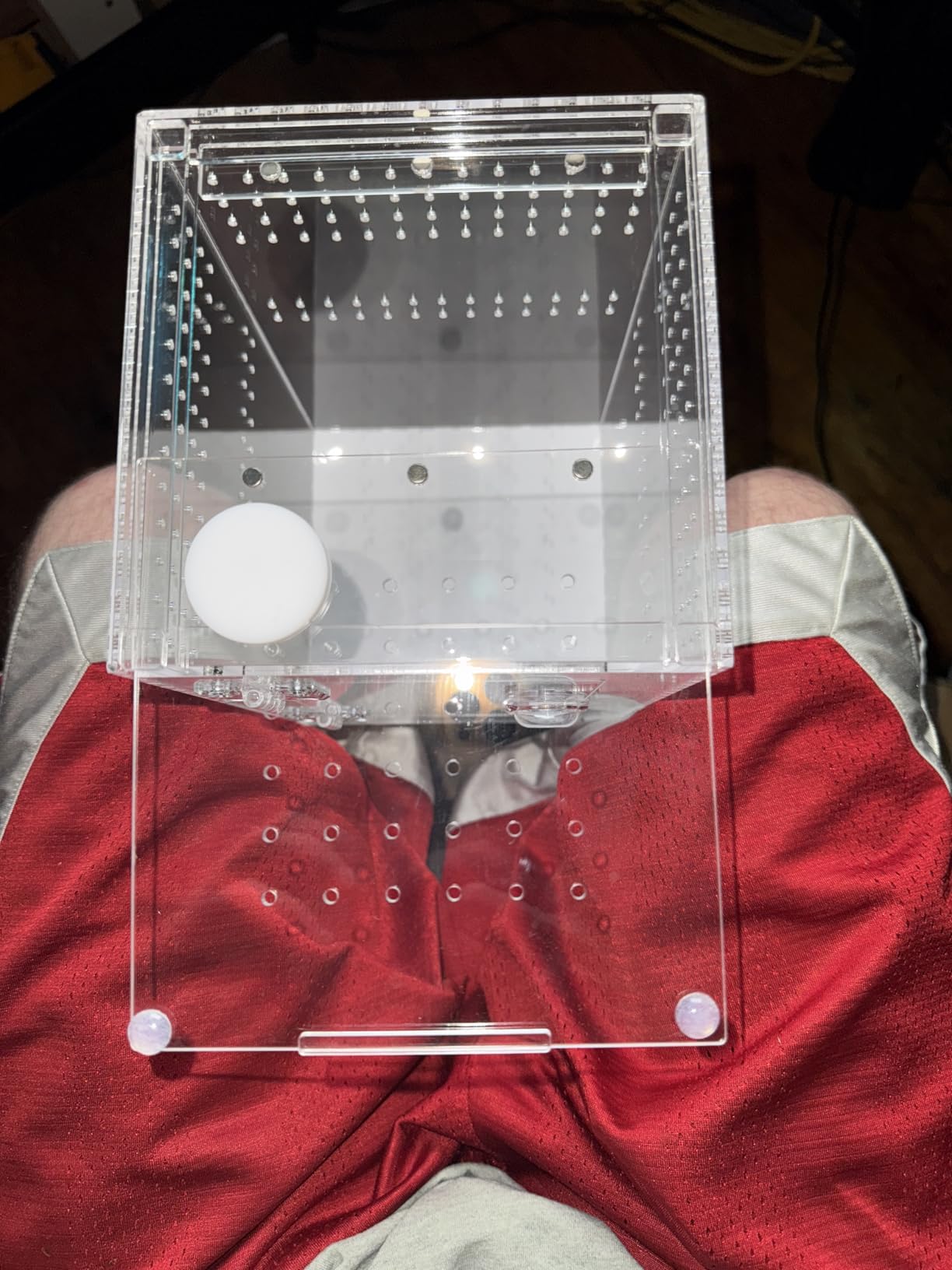 Tall Arboreal Tarantula Enclosure No Assembly Required, Jumping Spider Enclosure, Front Above Opening, Cross Ventilation, Acrylic Arboreal Reptile Enclosure customer photo 2
