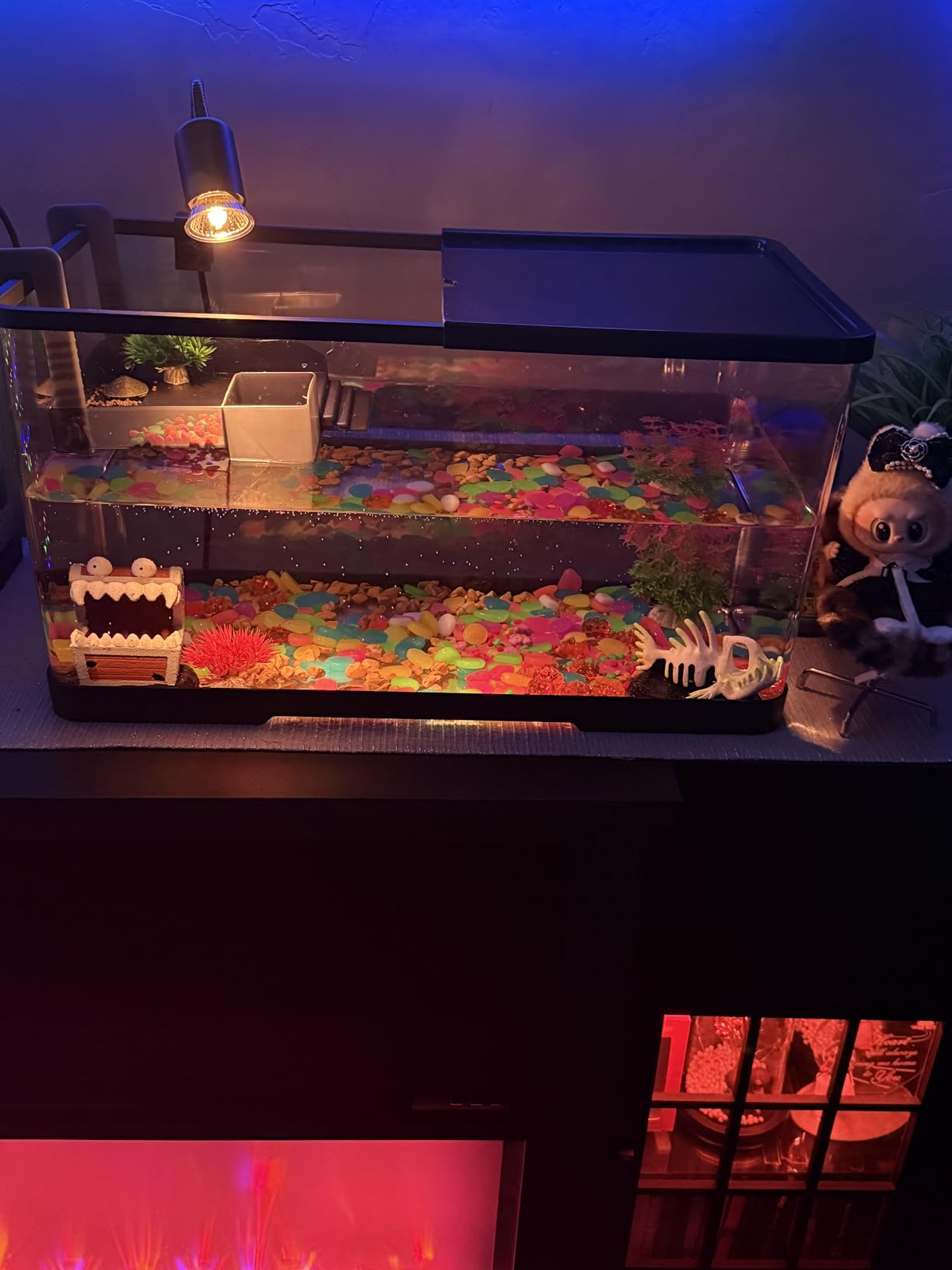 (Tank + Light + Filter + Filter Balls) Turtle Tank Kit, Turtle Tank Starter Kit,Bottom Drainage, Multi-Function Areas for Turtles, Crabs,Fishes, Amphibians,Reptiles. (15.75 x 8.64 x 8.64 Inch) customer photo 1