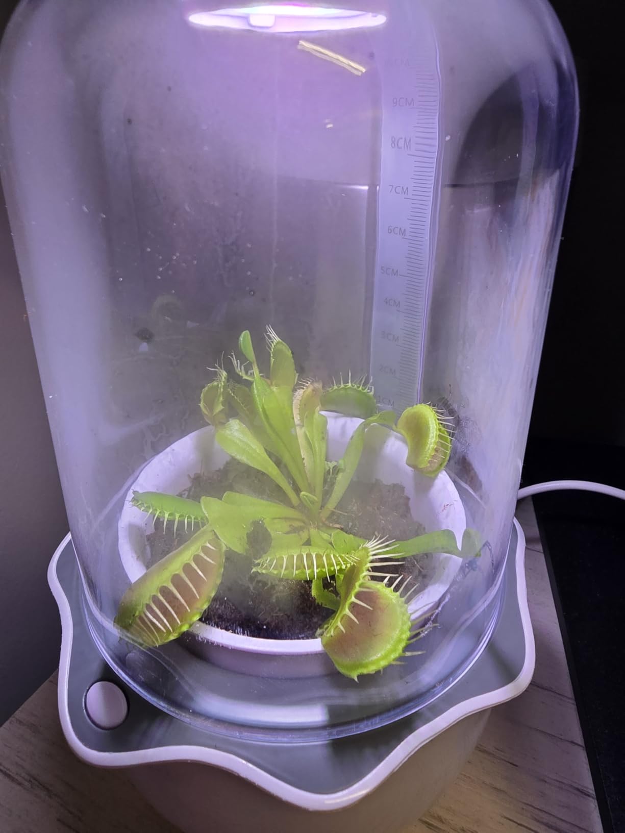 Venus Fly Trap Terrarium Pot with Timer Grow Light&Fan,Plant Terrarium kit for Moss&Cactus,Smart Planter for Carnivorous Plants&Butterwort,Mother's Day Birthday Gifts for Women Garden Lover(no Plant) customer photo 1