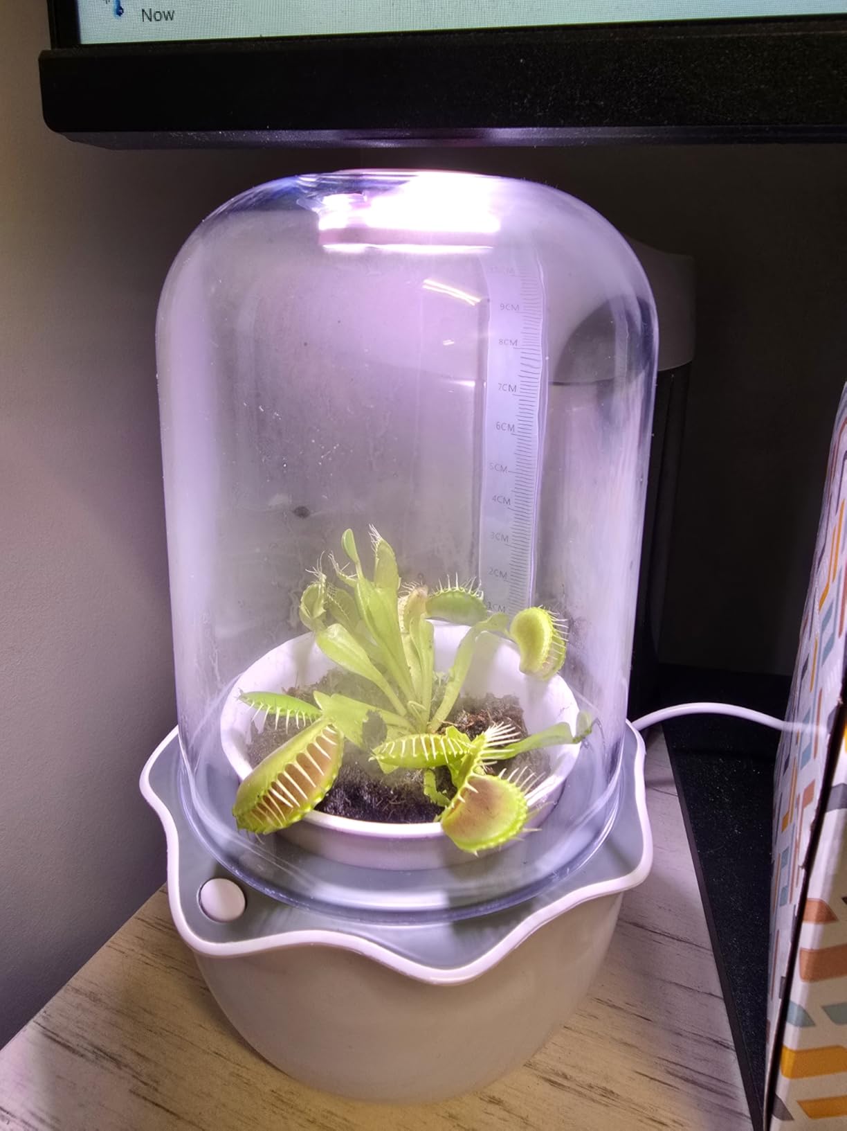 Venus Fly Trap Terrarium Pot with Timer Grow Light&Fan,Plant Terrarium kit for Moss&Cactus,Smart Planter for Carnivorous Plants&Butterwort,Mother's Day Birthday Gifts for Women Garden Lover(no Plant) customer photo 2