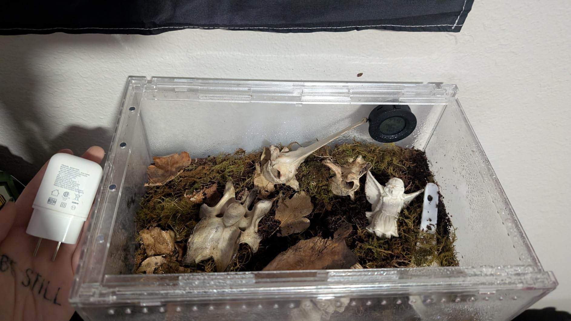 Reptile PC Terrarium,Tarantula Enclosure,Spider Tank Starter Kit,Leopard Gecko Container,Hermit Crab Habitat,Lizard Enclosure,Insect Housing,Jumping Spider Cage,Bearded Dragon Vivarium XL customer photo 1