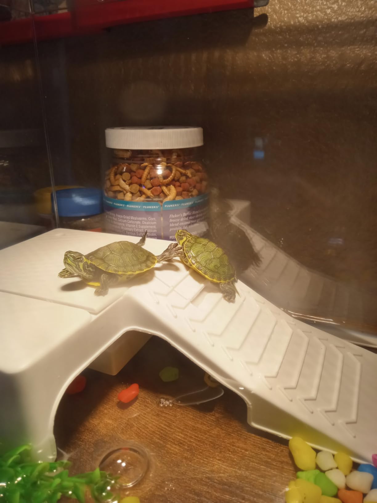 12x7x6 Turtle Tank Kit A High-Definition Aquarium with Heating Lamp, Filter, Advanced Ventilation, High-Temperature Resistance, Complete Accessories for Turtle Habitat customer photo 1