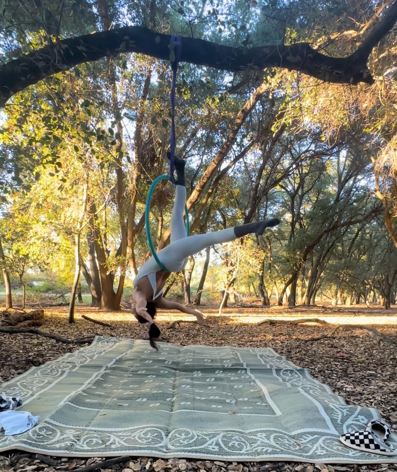 Endless Round Slings for Aerial Lyra Hoop Rig, Aerial Silks Handing Polyester Lifting Sling Spanset, Heavy Duty Polyester Capacity 5300 Lbs Vertical Capacity (Purple, 3 FT) customer photo 1