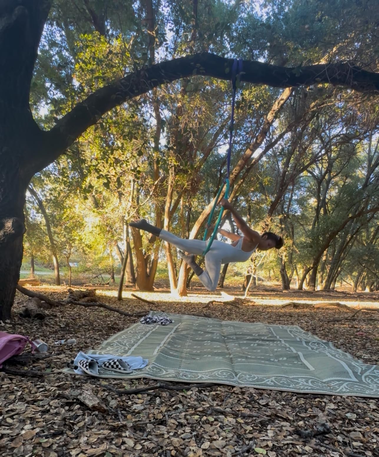 Endless Round Slings for Aerial Lyra Hoop Rig, Aerial Silks Handing Polyester Lifting Sling Spanset, Heavy Duty Polyester Capacity 5300 Lbs Vertical Capacity (Purple, 3 FT) customer photo 2