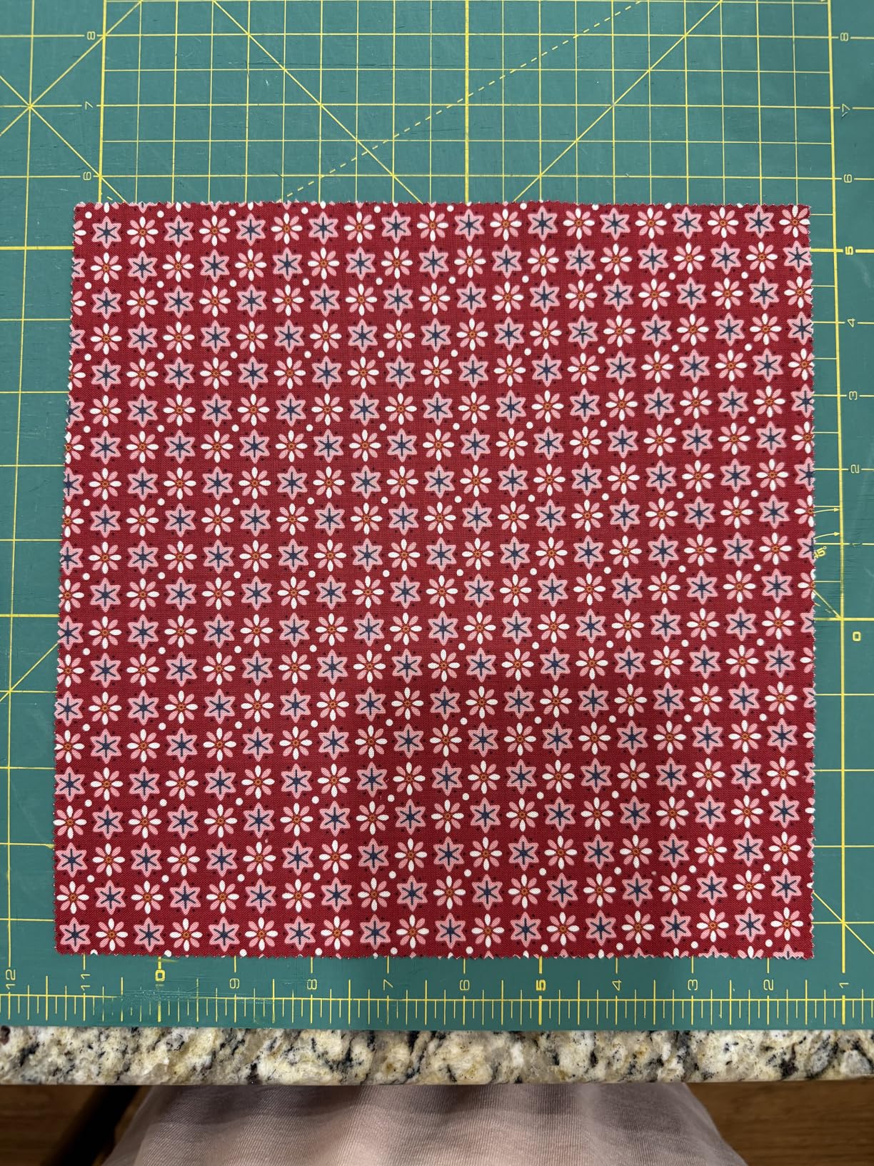 Lori Holt Americana 10