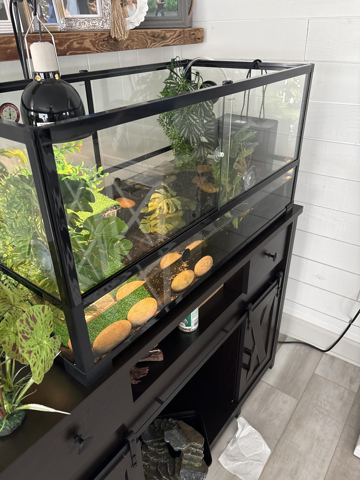 REPTIZOO 18 Gallon Turtle Tank Aquarium, 30 x 12 x 12 Tortoise Habitat Water-Land Ecological Turtle Tank with Drainage System Aquatic Aquarium customer photo 1