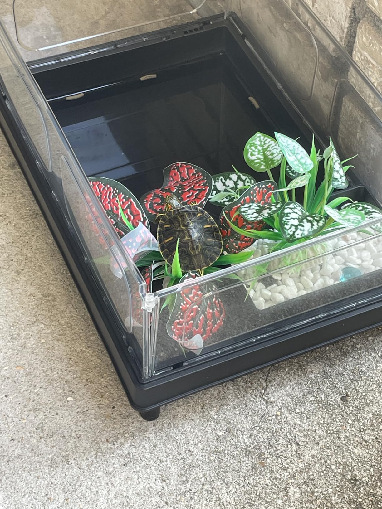 GOZILLA Small Turtle Tank Kit(Tank+Lamp+Filter), Acrylic Turtle Starter Kit with Adjustable Lamp, Reptile Habitat and Terrarium with Multi-Functional Areas for Small Reptiles. (Black Kit) customer photo 1