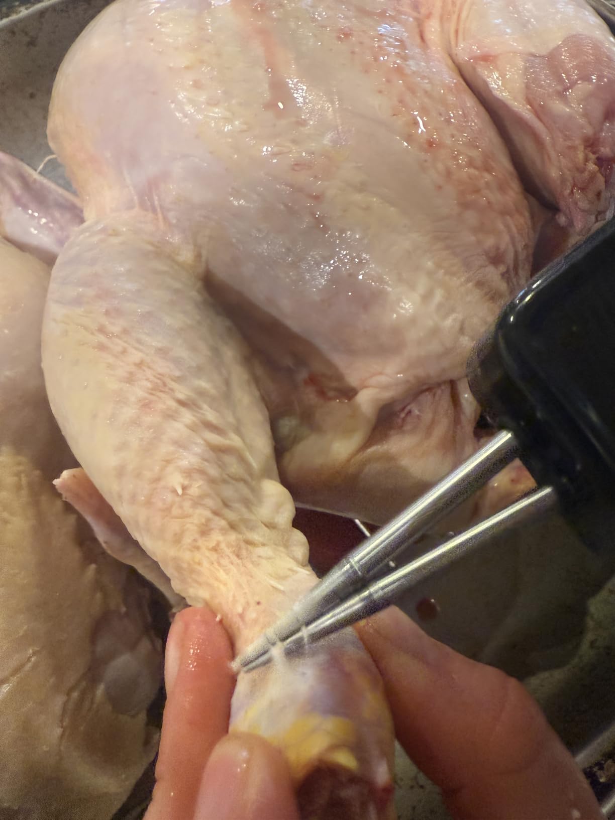 ORIXA Handheld Chicken Plucker - Portable Poultry Feather Remover for Chicken, Duck, Goose, Heavy-Duty Stainless Steel Defeathering Head customer photo 1