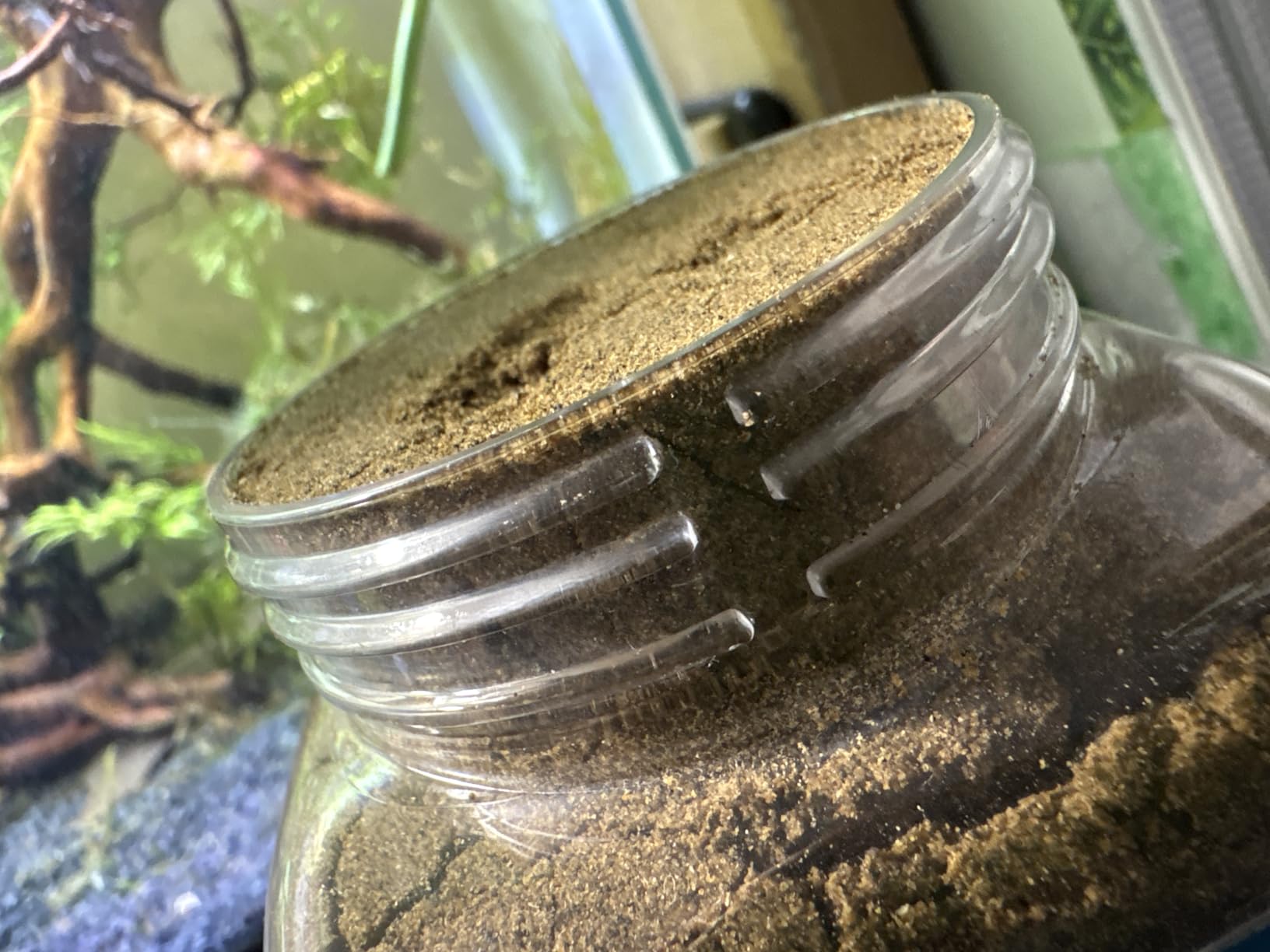 55% Protein Vitamin Rich Micro Floating/Slow Sinking Baby & Fry Food for Cichlids, Community Fish, Baby Koi & Pond Fish, All Aquarium Tropical Fish...12oz Jar customer photo 1