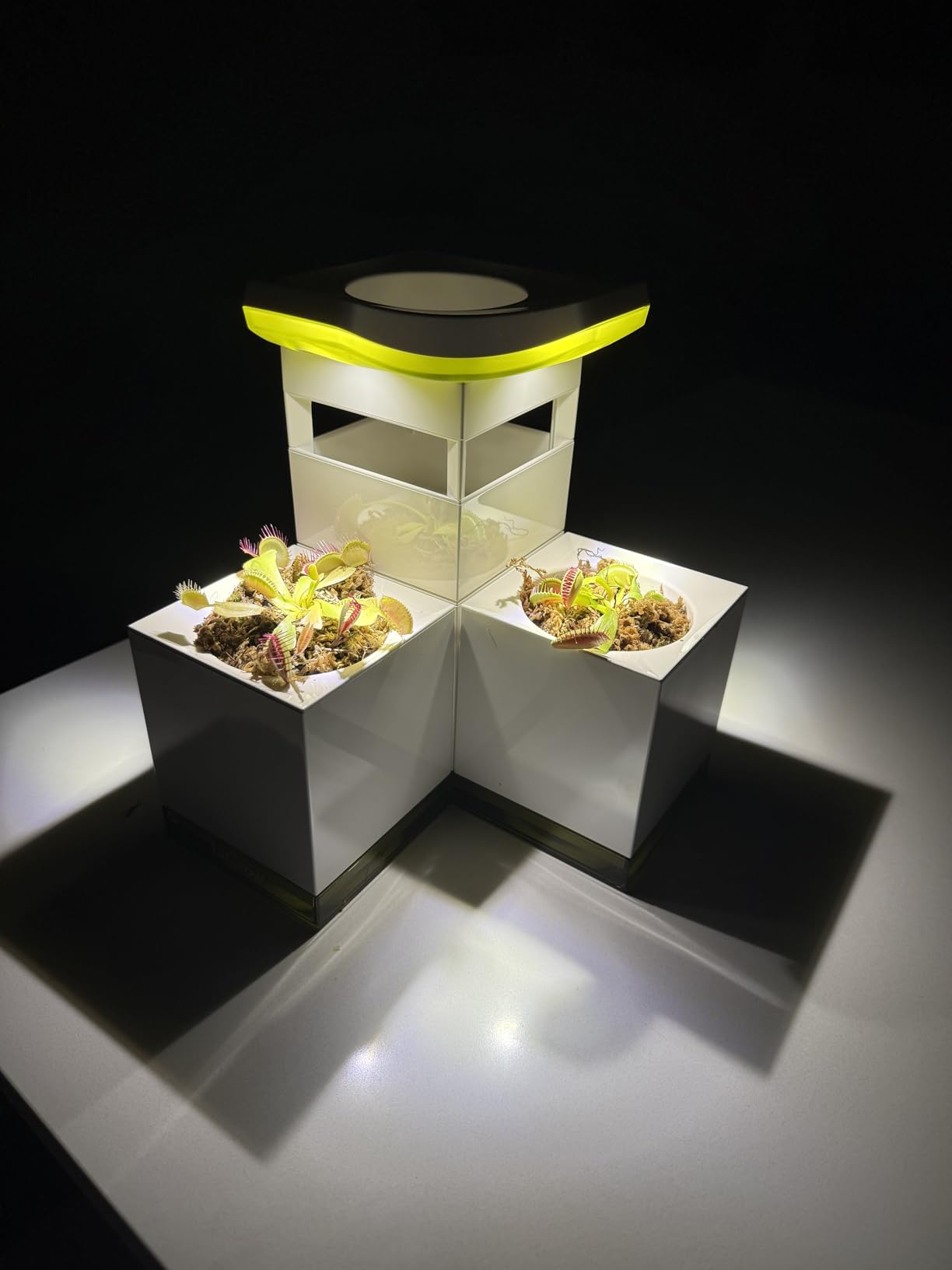 LeGrow Venus Fly Trap Pot, 50000lux Grow Light with Timer, 7 Days Watering Free, Indoor Planter with Drainage Hole & Self-Watering Tray for Carnivorous Plant, Sundew, Succulent, Cactus [No Plant] customer photo 1