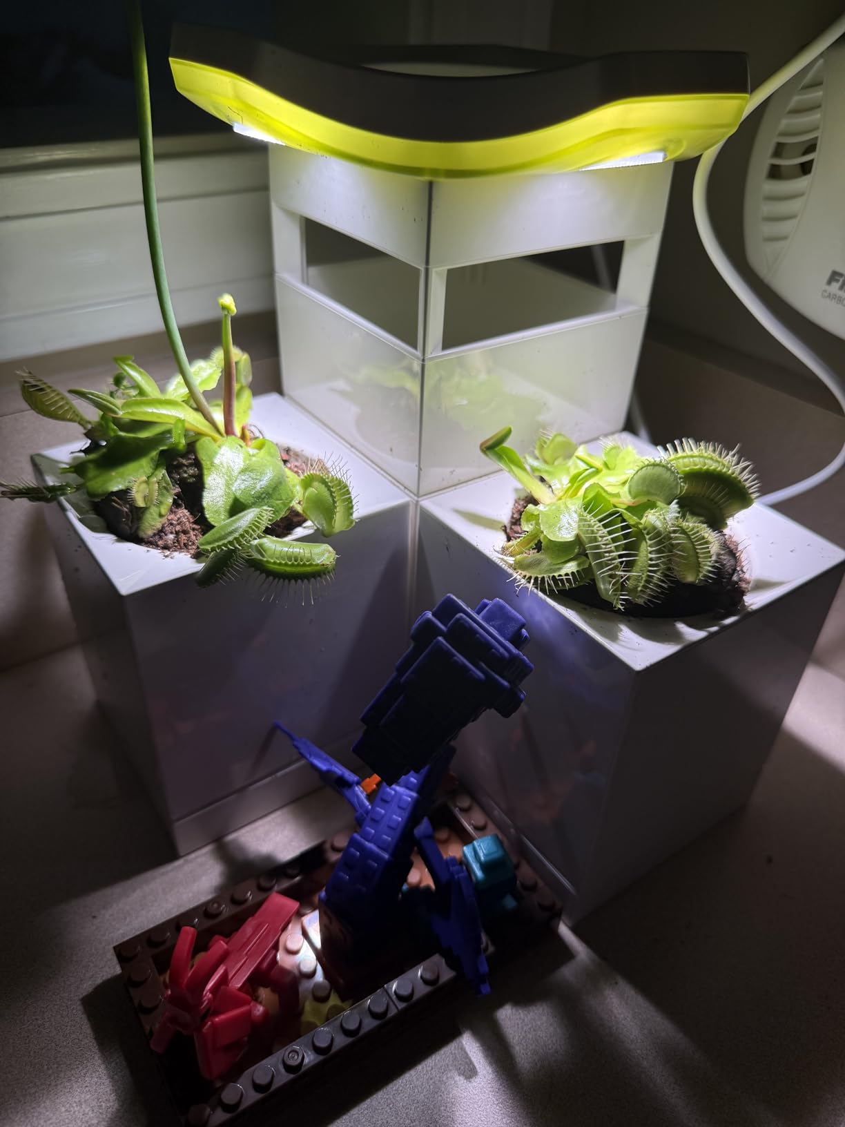 LeGrow Venus Fly Trap Pot, 50000lux Grow Light with Timer, 7 Days Watering Free, Indoor Planter with Drainage Hole & Self-Watering Tray for Carnivorous Plant, Sundew, Succulent, Cactus [No Plant] customer photo 2