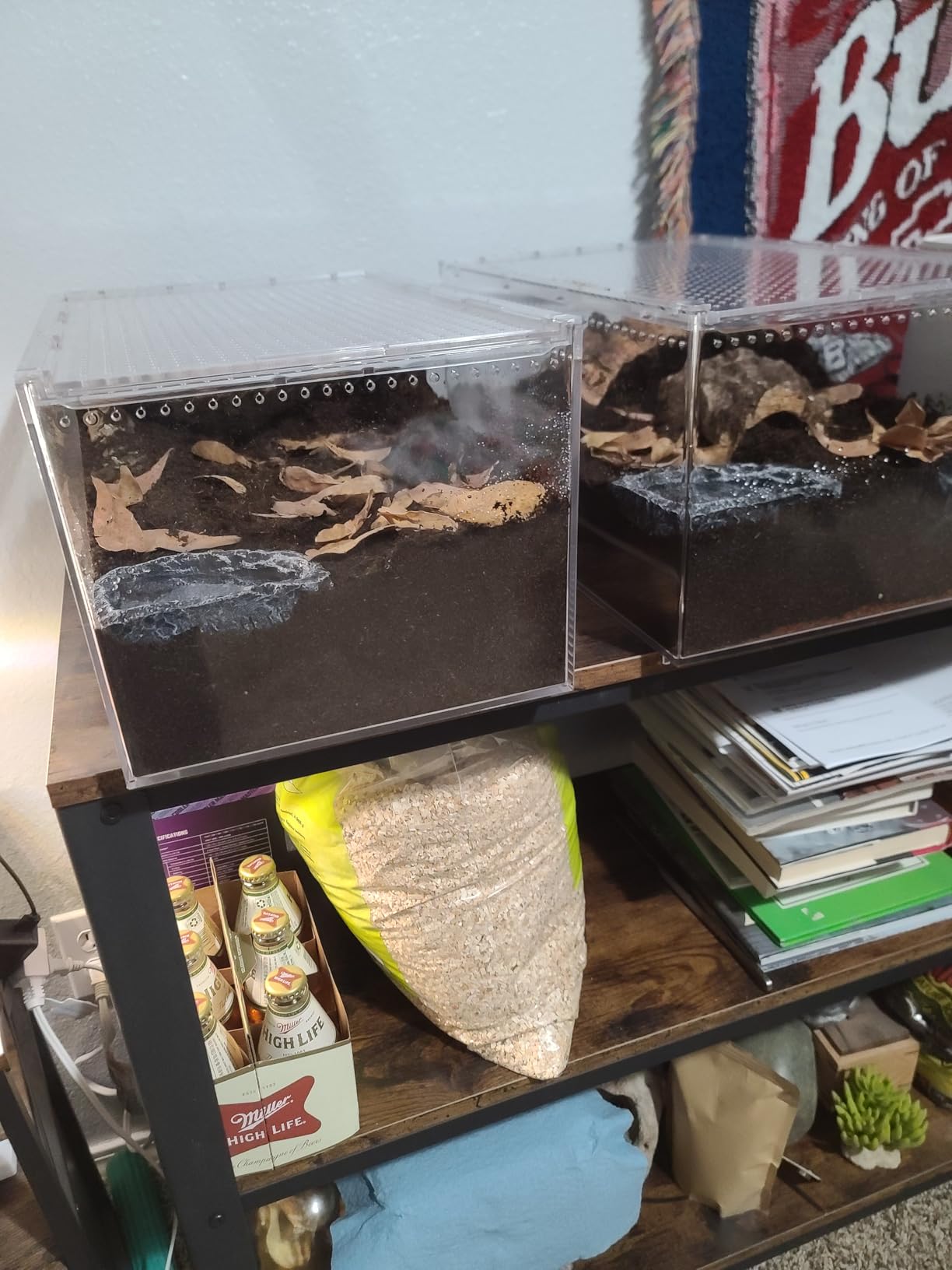 AZV Escape Proof Reptile Terrarium, Shatter Proof Polycarbonate Tarantula Tank with Magnetic Lid, Ventilated Spider Enclosure, 360° Clear View, Easy Clean Habitat for Gecko,Frogs,Insects,Hermit Crabs customer photo 1