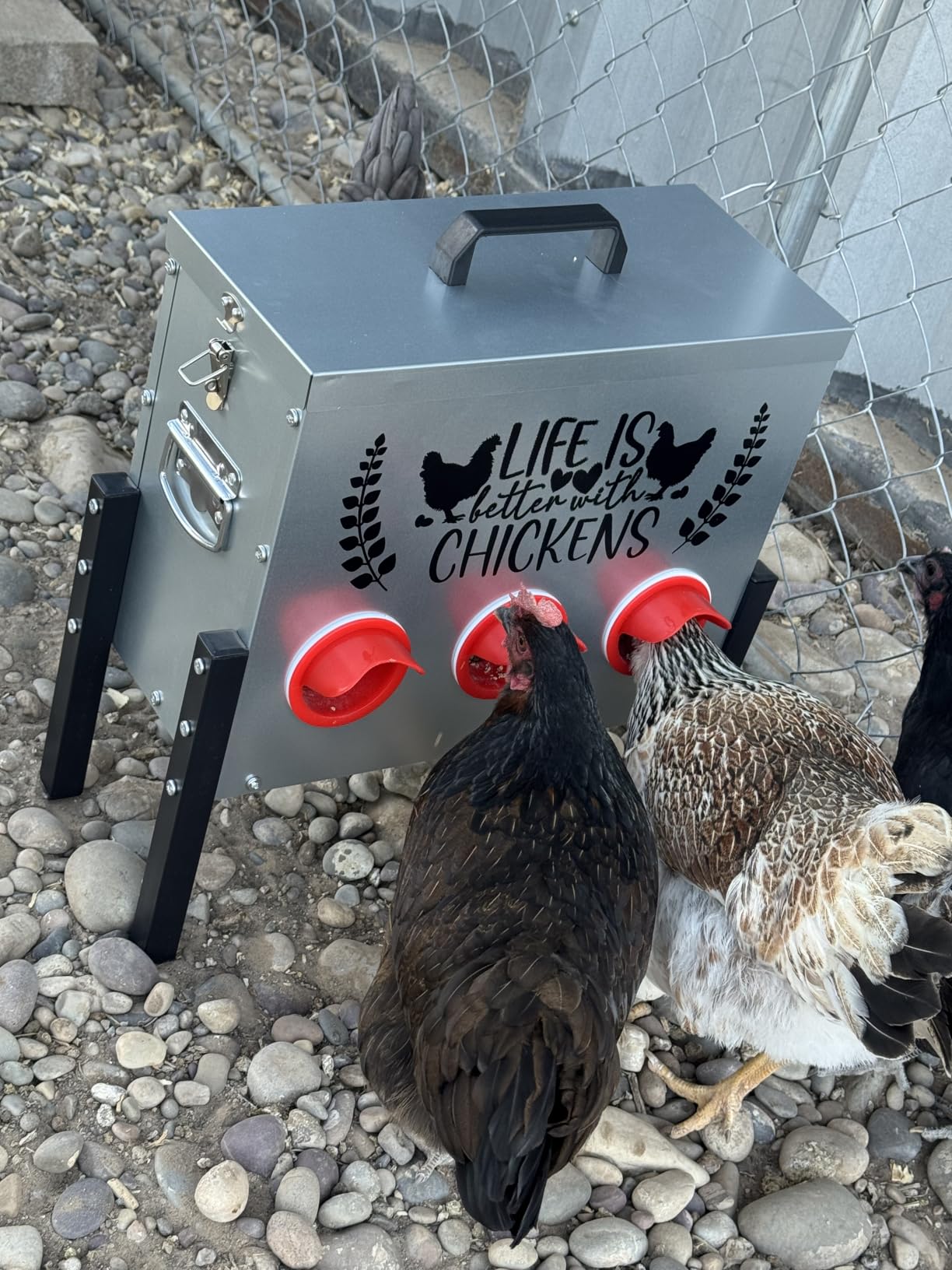 TGEYD 30 lb Chicken Feeder with 6 No-Waste Ports - Heavy-Duty Outdoor Metal Feeder with Adjustable Height, Locking Lid & Riveted Handles - Rustproof Feed Box for Poultry & Backyard Chickens customer photo 2