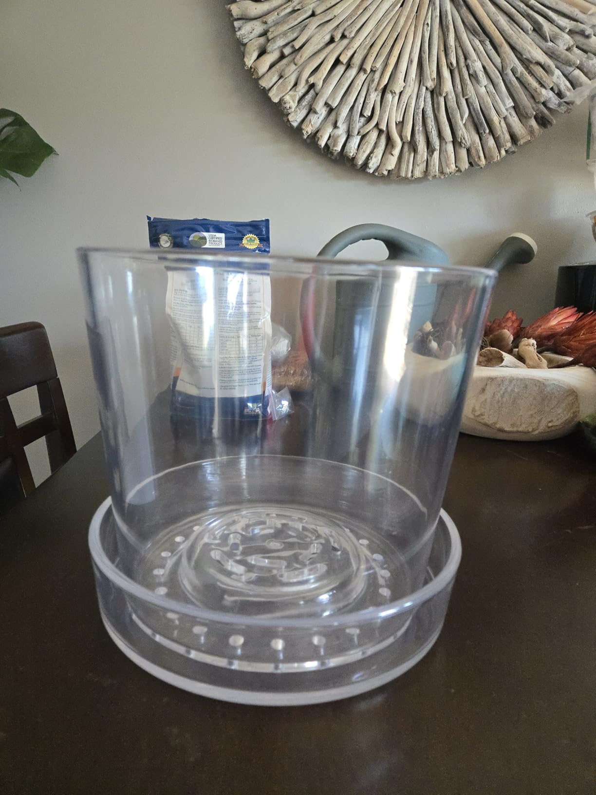 Phoenix Vine 3.5 Inch Clear Acrylic Planter Pot with Tray, Orchid Pot with Drainage Holes, Deep Saucer for Bottom Watering, Transparent Containers for Indoor Plants, Herbs, Set of 1, 91-A-D-1 customer photo 2