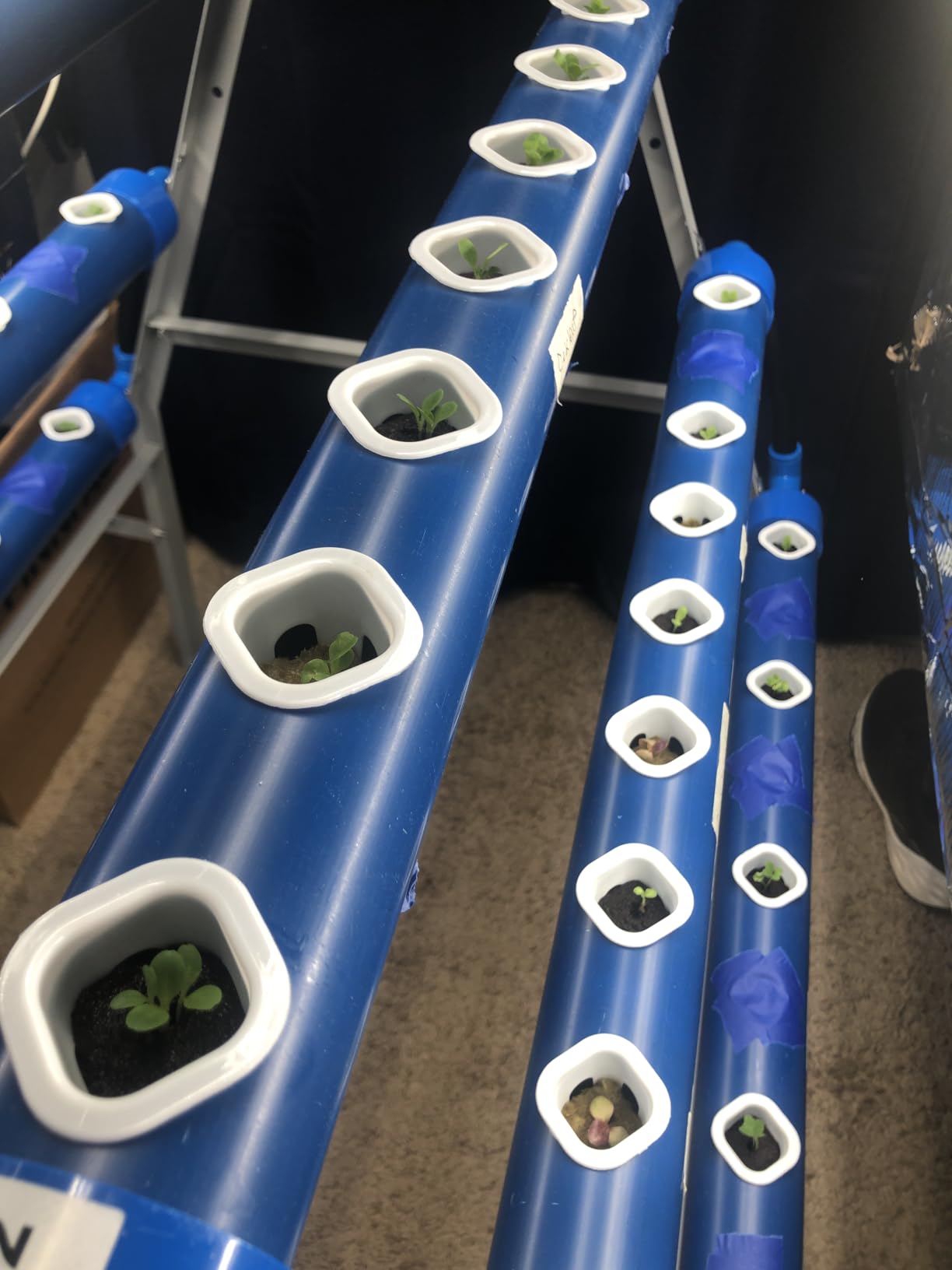GENORTH A-Type Hydroponics Growing System Kit for Vegetables, Fruits and Herbs, 72 Plant Sites and Food-Grade PVC-U Pipes, Suitable for Indoor and Outdoor,New customer photo 2
