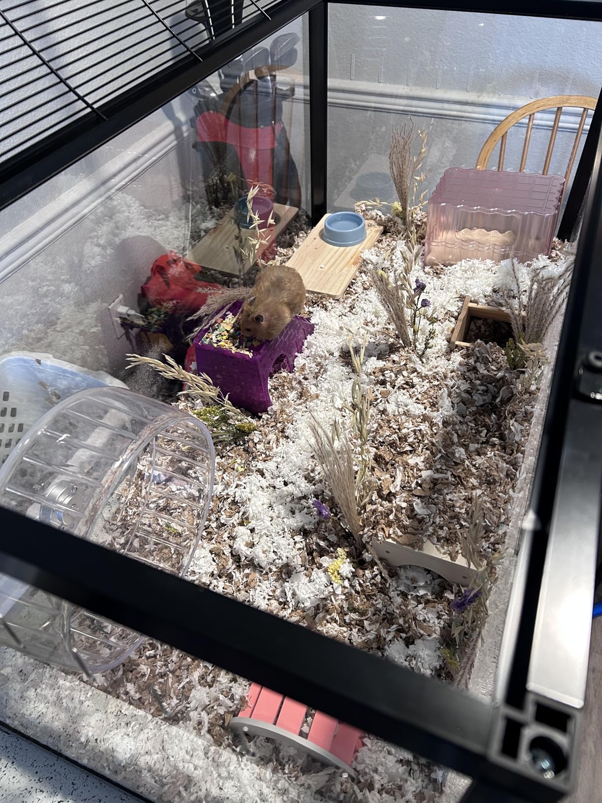 VEVOR Hamster Cage, 360° Viewing Transparent Hamster Habitats, Small Animal Cage, 29.5 x 17.3 x 24 in, Ventilated Pet Mouse Cages with Water Bottle, Portable Hamster House for Rats, Guinea Pigs customer photo 2