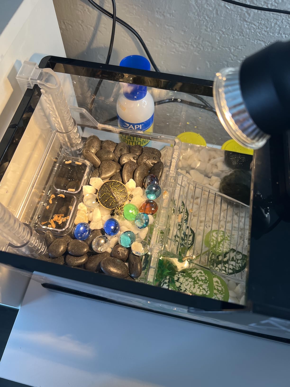 GOZILLA Aquatic Turtle Tank Kit+Lamp+Filter, Upgrade PC Turtle Tank Starter Kit with Adjustable Lamp & Filter,Reptile Habitat with Lid,Hanging Platform for Small Reptiles.(15.75×7.9×9''/Black Kit) customer photo 1