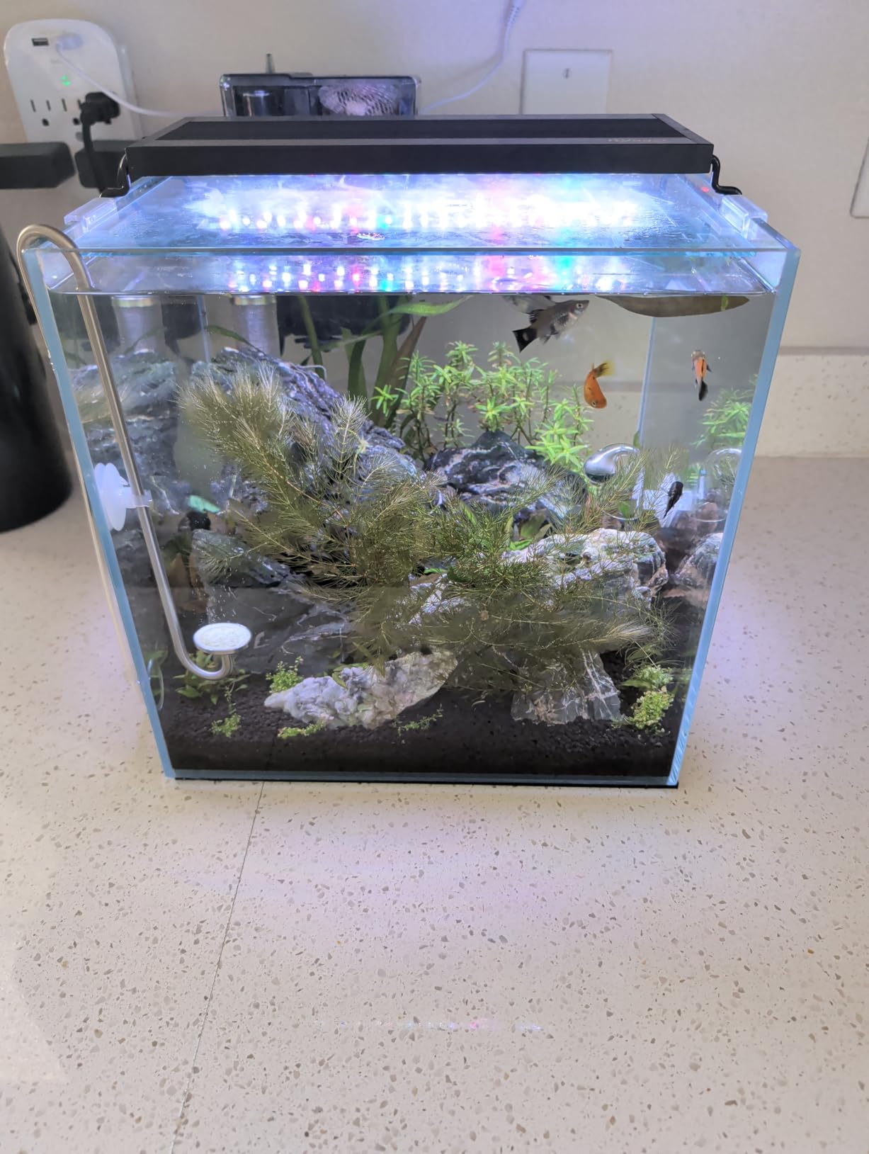 Pawfly Glass CO2 Drop Checker for Aquarium CO2 Indicator for Planted Fish Tank CO2 Monitor Kit with Solution & Suction Cups customer photo 1