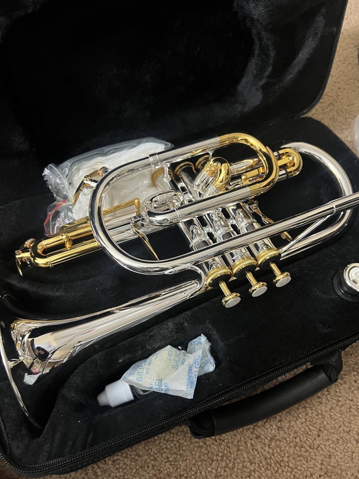 aurousus Bb Cornet ACR 8330 for Beginners Intermediate Players Stainless Steel Valves ML Bore Gold Brass Leadpipe 120mm Bell Lacquered Lightweight Durable customer photo 1