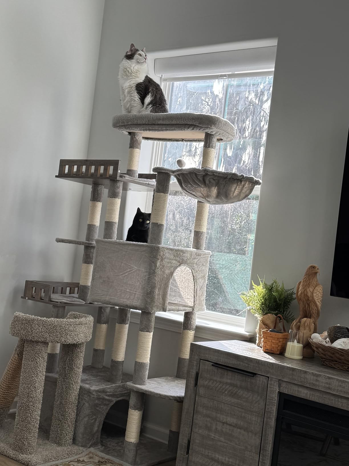 Gitelsnour Maine Coon Cat Tree, Heavy Duty Cat Tree for Indoor Cats Large Adult, Cat Tower for Large Cats 20 lbs+ with Hammock, 2 Big Perches, 2 Cat Condos, 15 Scratching Posts, Light Gray GCT033W customer photo 1