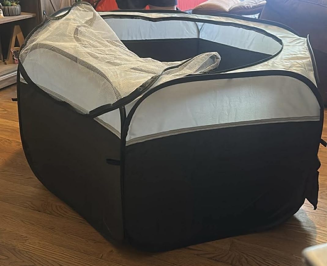 Chick Brooder Box-Chicken Brooder Playpen/Tent with Dual Door, Pop-Up Brooder Box Perch Up to 17 Baby Chick, Kit with Storage Bag, Top Cover, Fixed Pegs, Waterproof Mat(Blue) customer photo 1