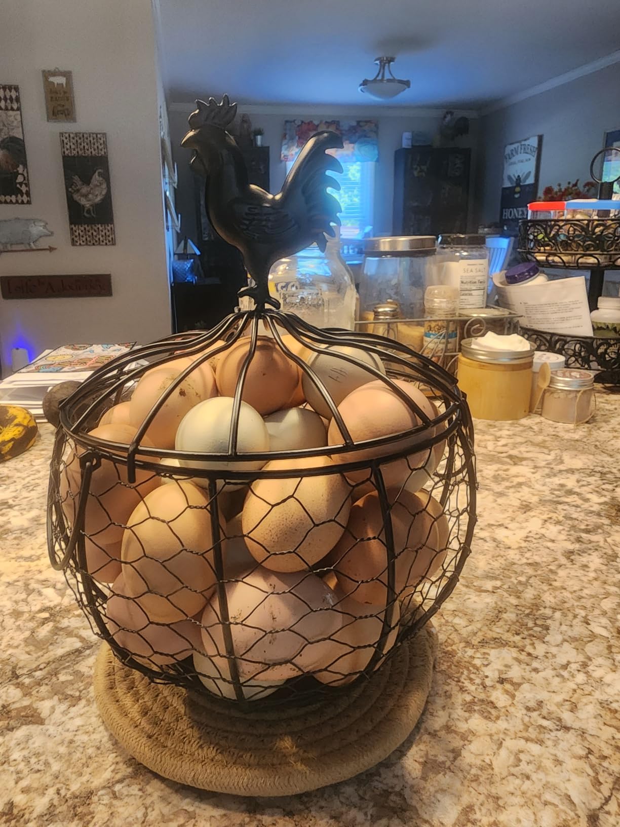 Wire Egg Basket for Gathering Fresh Eggs with Handle | Metal Egg Holder Countertop | Farm Fresh Egg Collecting Basket and Storage Holder | Suitable for Kitchen, Countertop and Farm (About 36 Eggs) customer photo 1