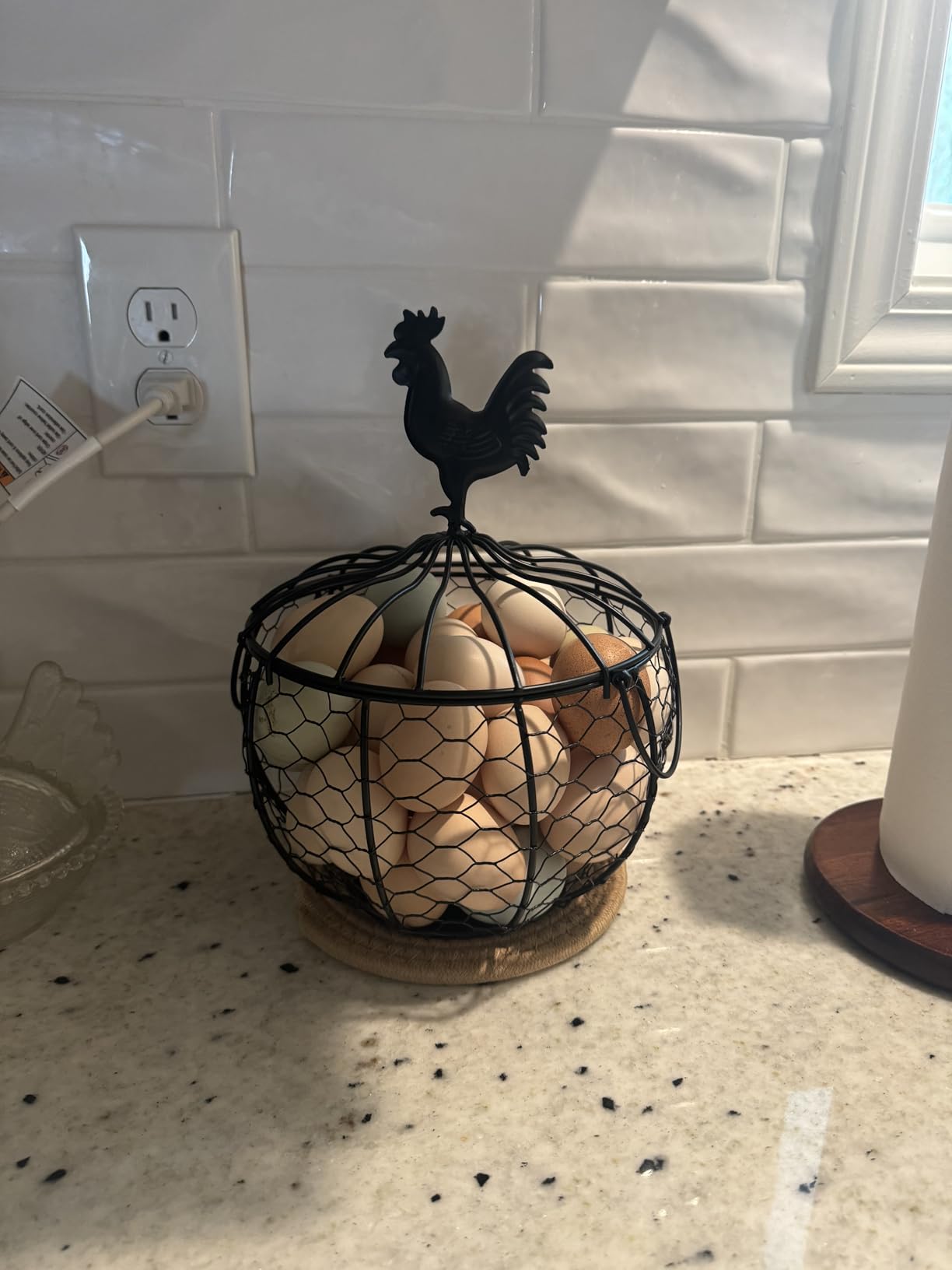 Wire Egg Basket for Gathering Fresh Eggs with Handle | Metal Egg Holder Countertop | Farm Fresh Egg Collecting Basket and Storage Holder | Suitable for Kitchen, Countertop and Farm (About 36 Eggs) customer photo 2