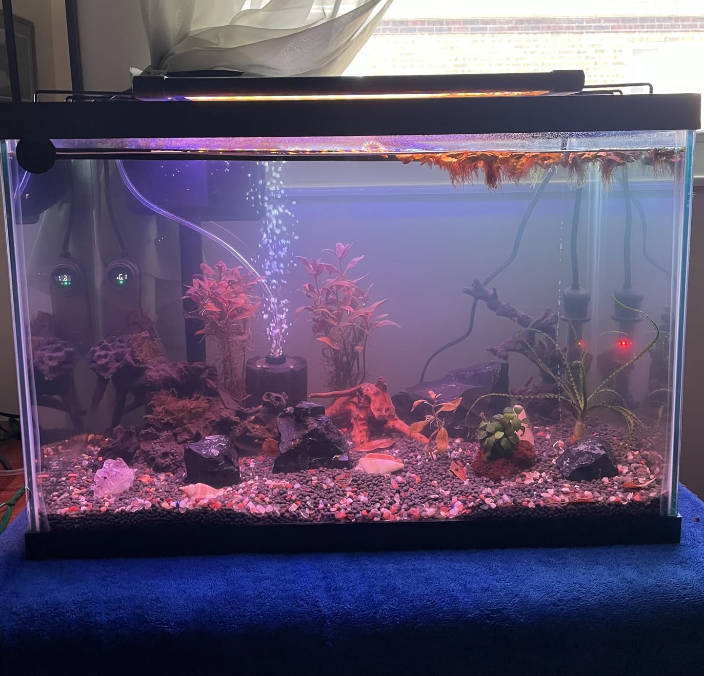 Upgraded Aquarium Soil Water Grass Mud, Aquascaping Aquarium Substrate for Plants and Shrimps (4.4 Pounds) customer photo 2