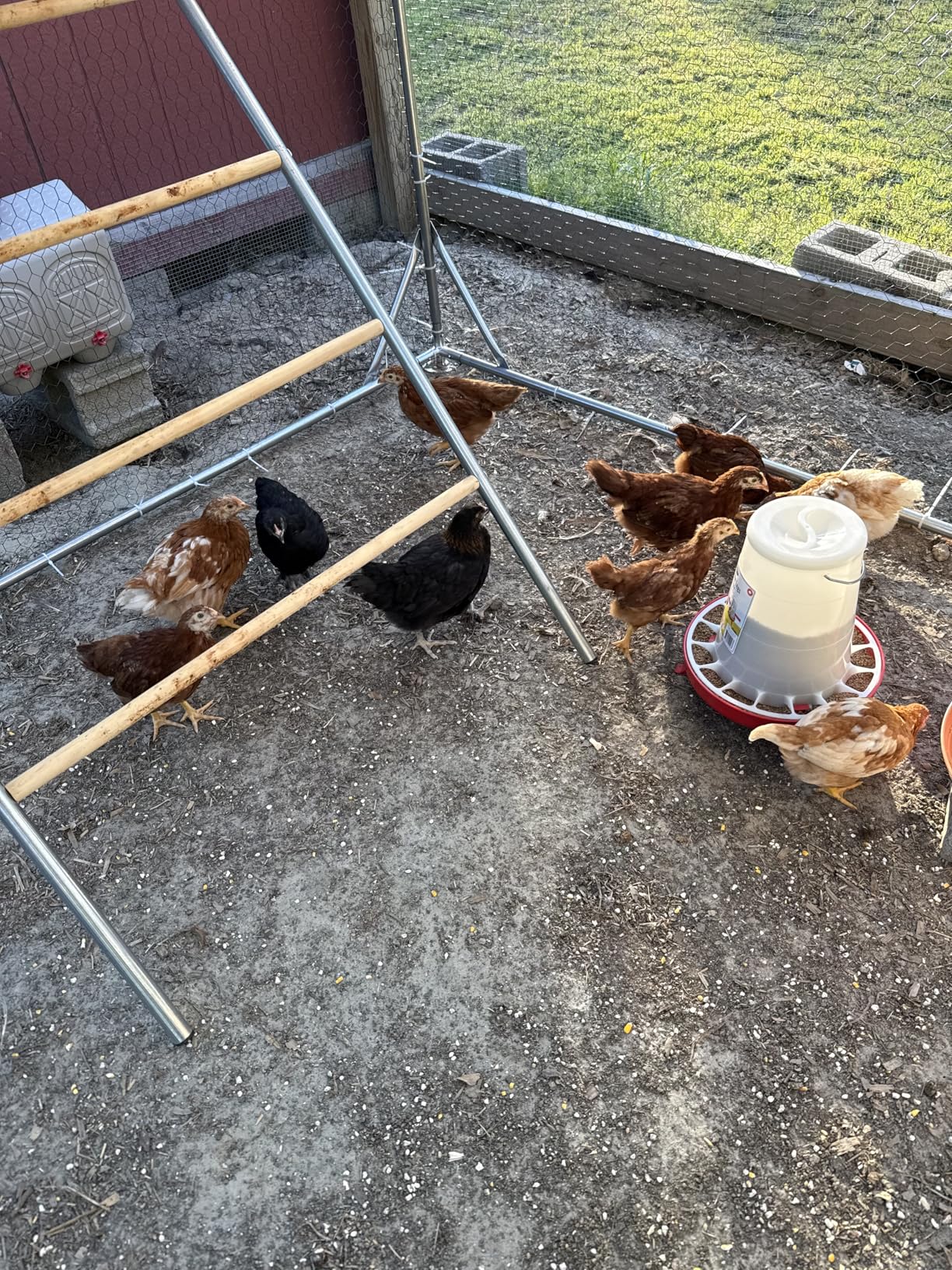 CHIKENCOOP Chicken Coop Roosting Perch Essentials：Perfect for Backyard Poultry, Easy Installation Farm Roost Toys for Chickens(81.7''L x 41.3'' W x 41.7H'') customer photo 1