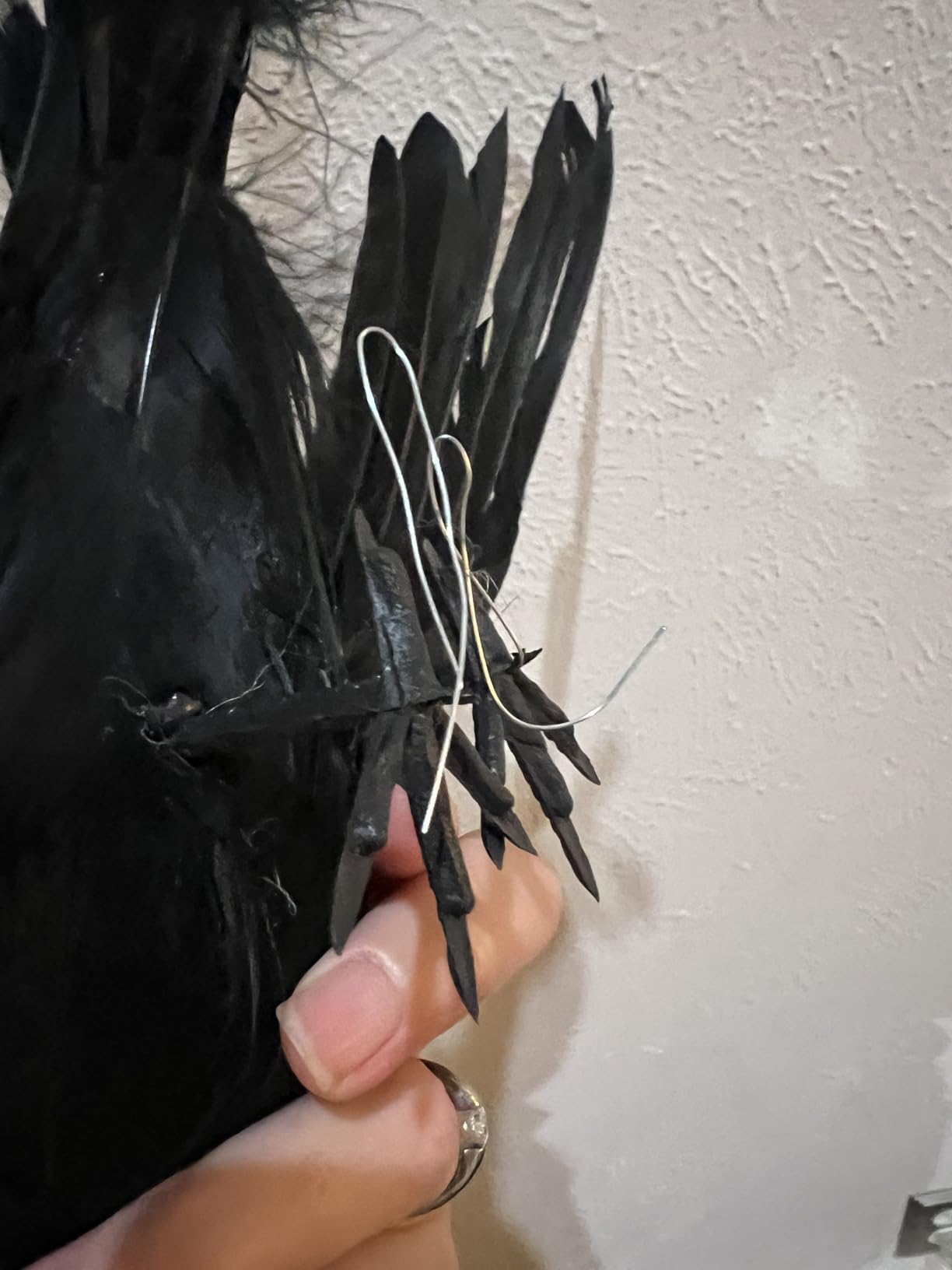 Black Fake Crows Halloween Decorations - Fake Crow Decor - 2 Pcs Large Realistic Feather Black Crows for Halloween Decor Birds - Plastic Stuffed Crow Prop Decoration Outdoor Indoor Tree Fence, 11 Inch customer photo 1