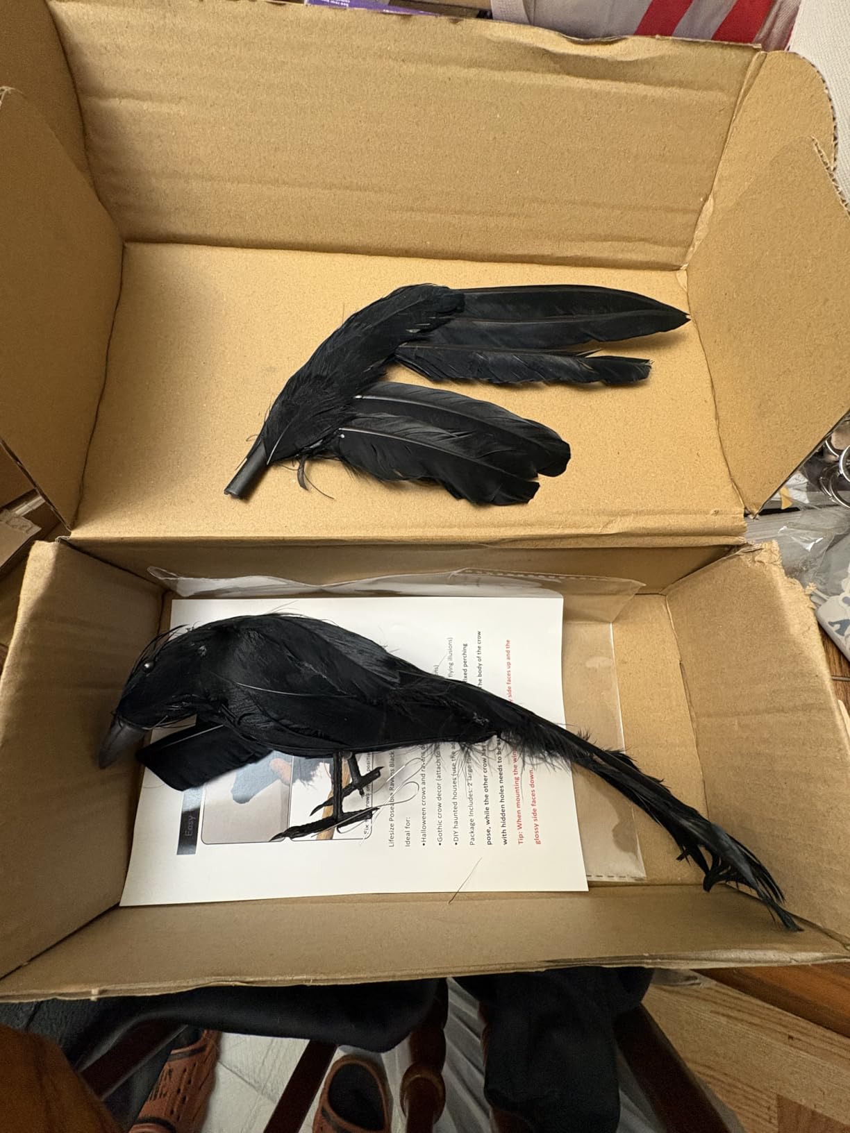 Black Fake Crows Halloween Decorations - Fake Crow Decor - 2 Pcs Large Realistic Feather Black Crows for Halloween Decor Birds - Plastic Stuffed Crow Prop Decoration Outdoor Indoor Tree Fence, 11 Inch customer photo 2